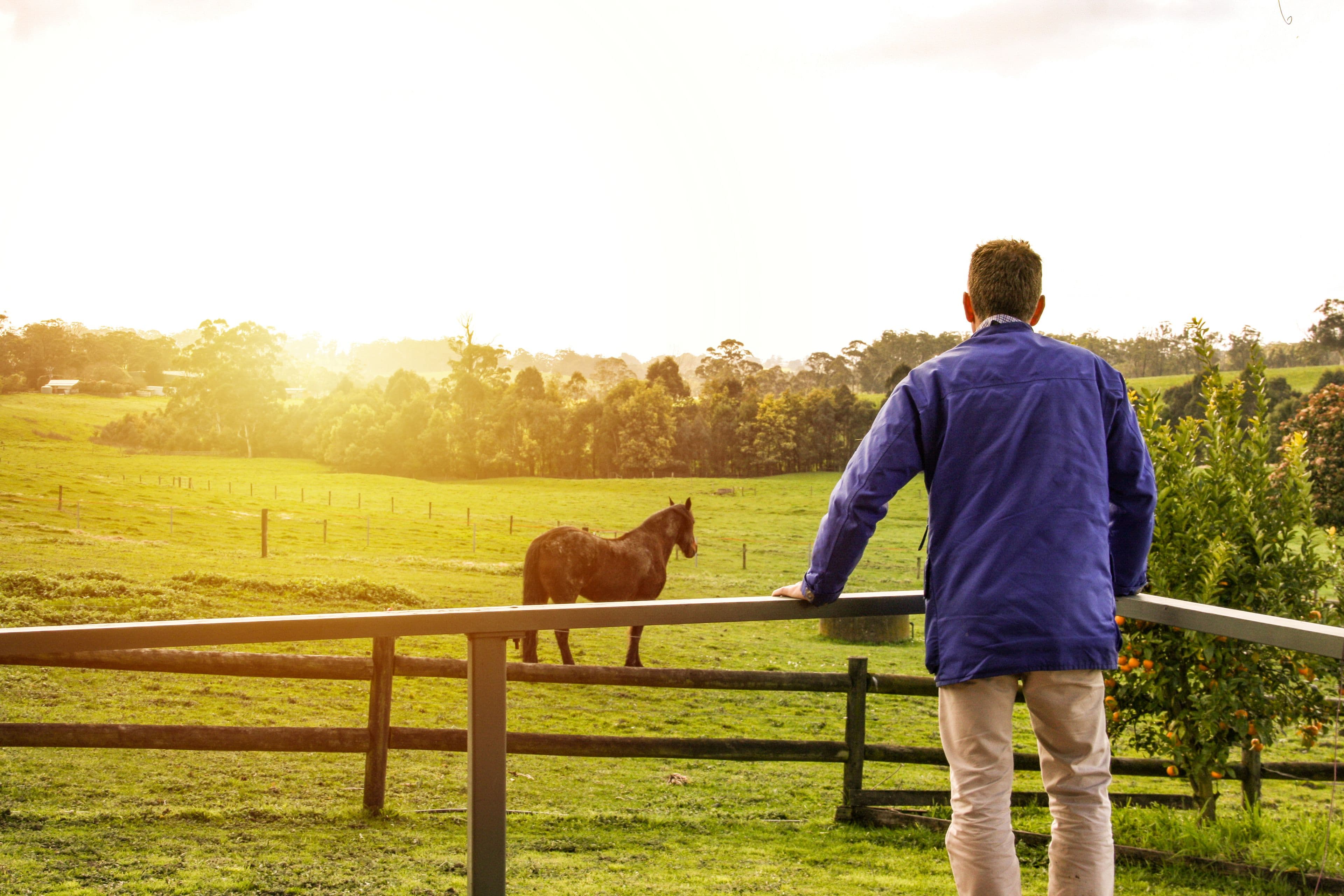 1815 Lardners Track, TORWOOD VIC 3821, Torwood - Thumbnail 5