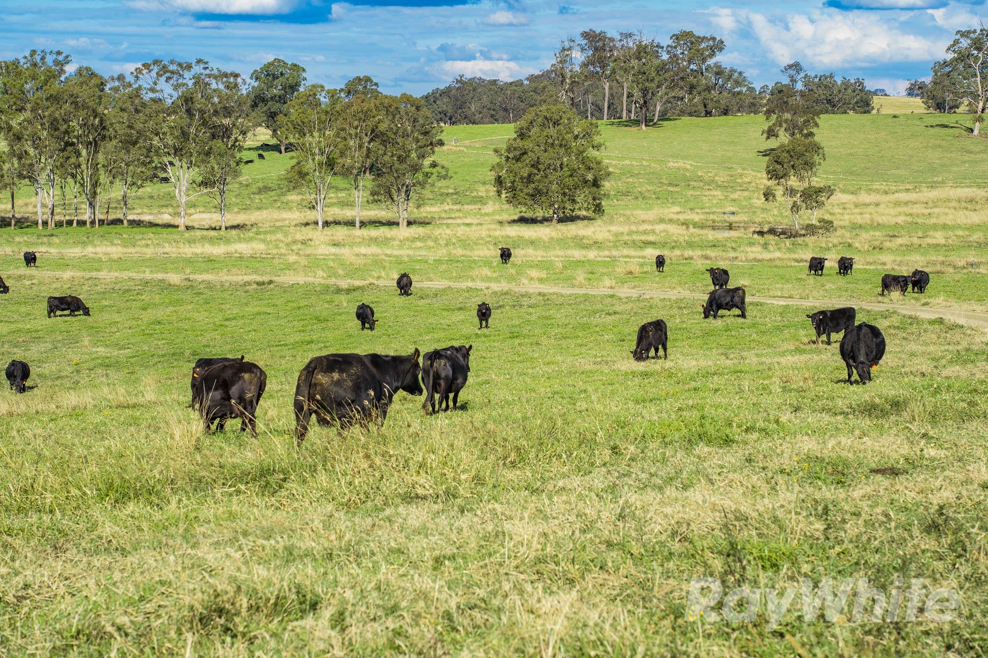 4469 Clarence Town Road, Dungog NSW 2420, Dungog - Thumbnail 3