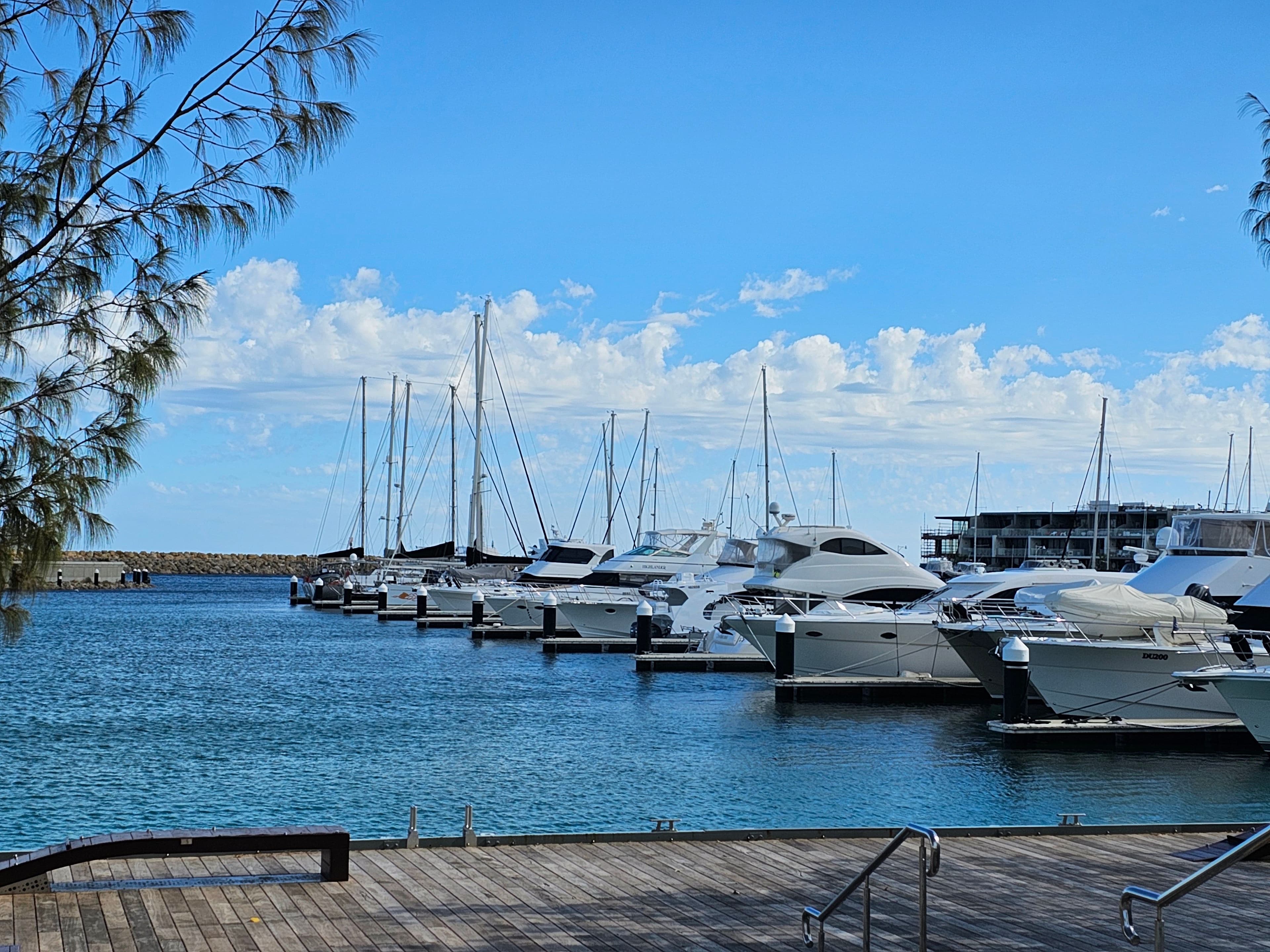 85 Caledonia Loop, North Coogee WA 6163, North Coogee - Thumbnail 5