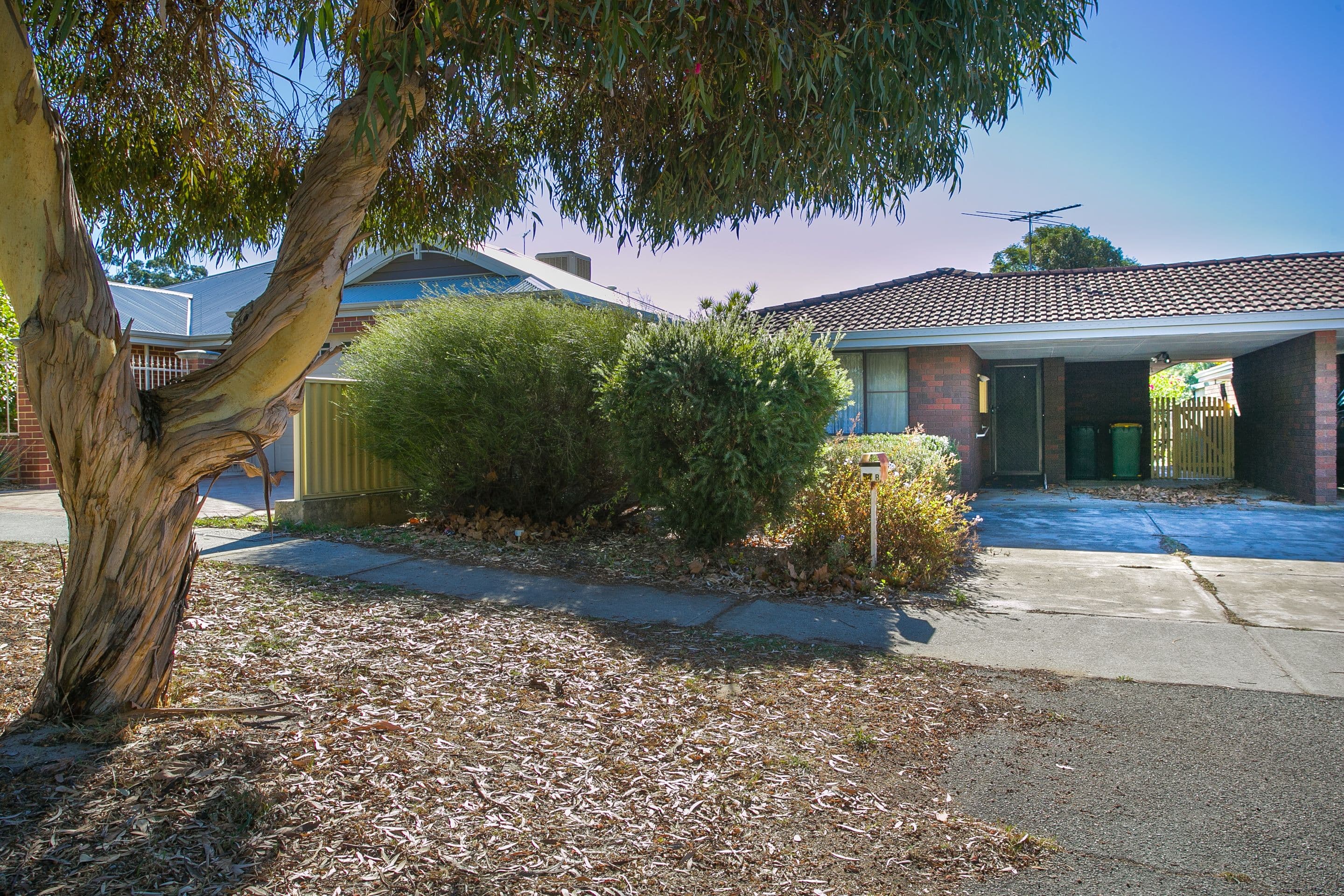54b Scaddan Street, Bassendean WA 6054, Bassendean - Thumbnail 2