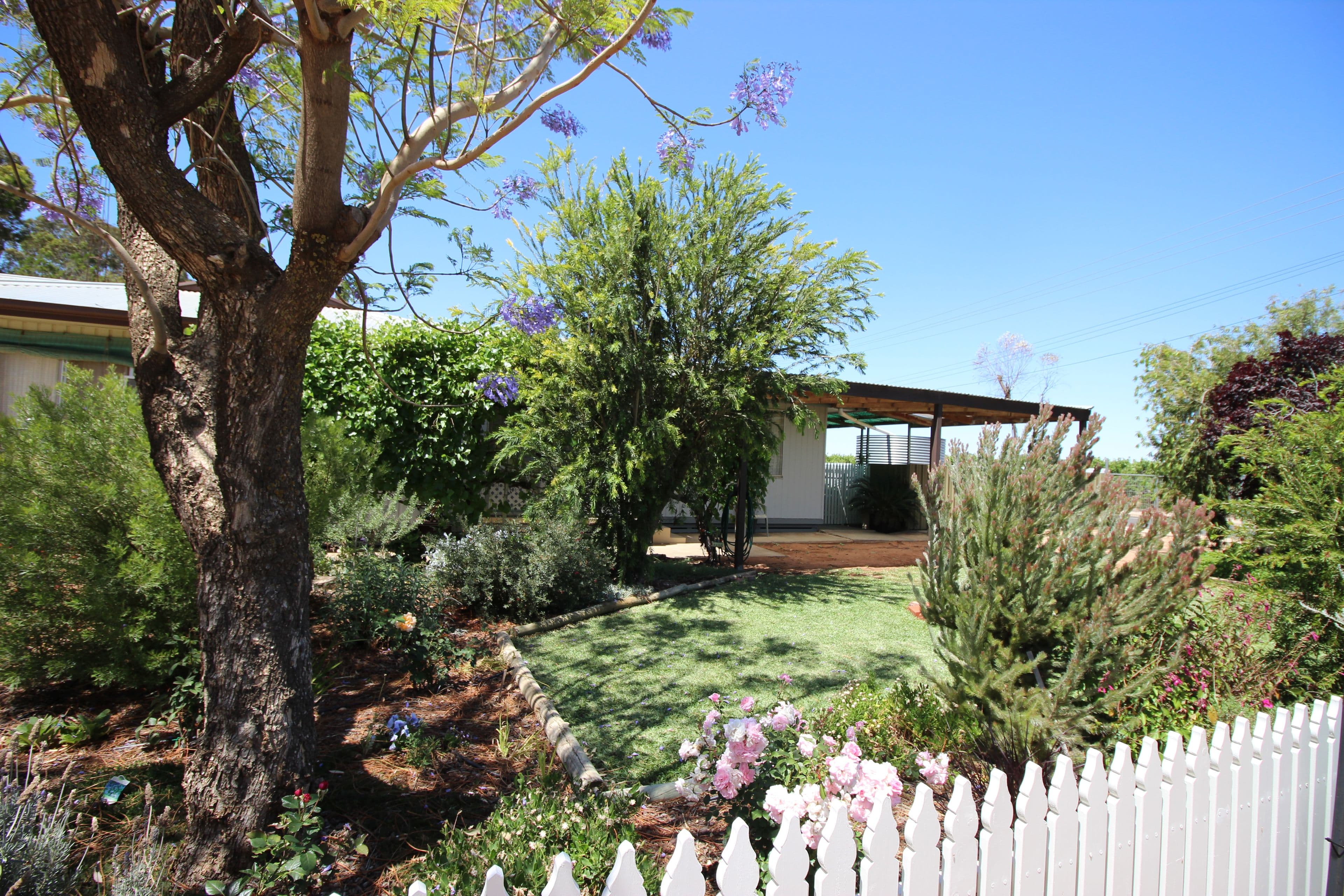 9 Dunning Street, Waikerie SA 5330, Waikerie - Thumbnail 2