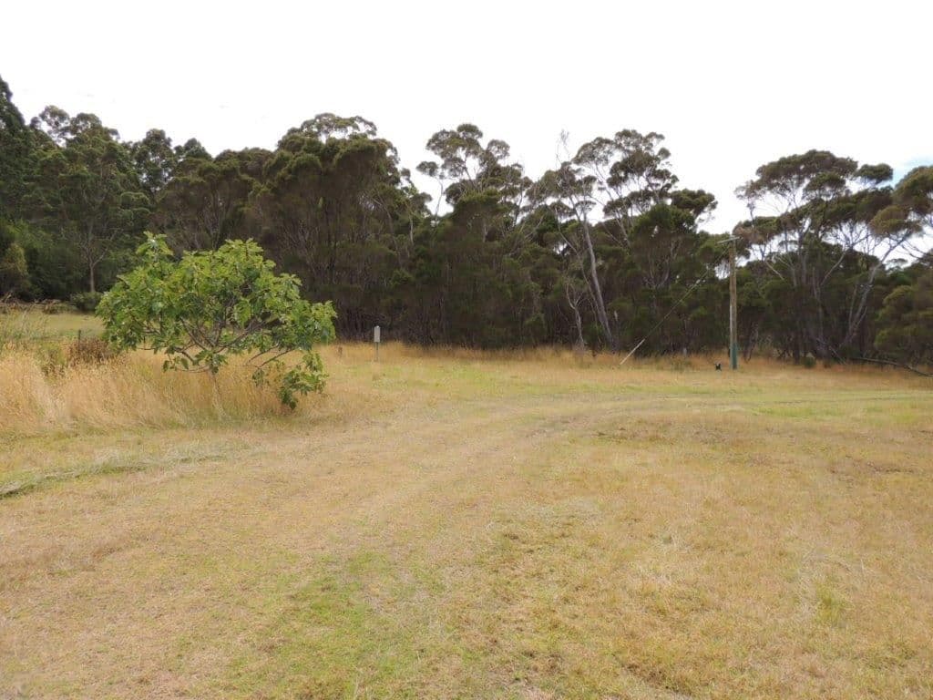 68 Warham Road, Denmark WA 6333, Denmark - Thumbnail 5
