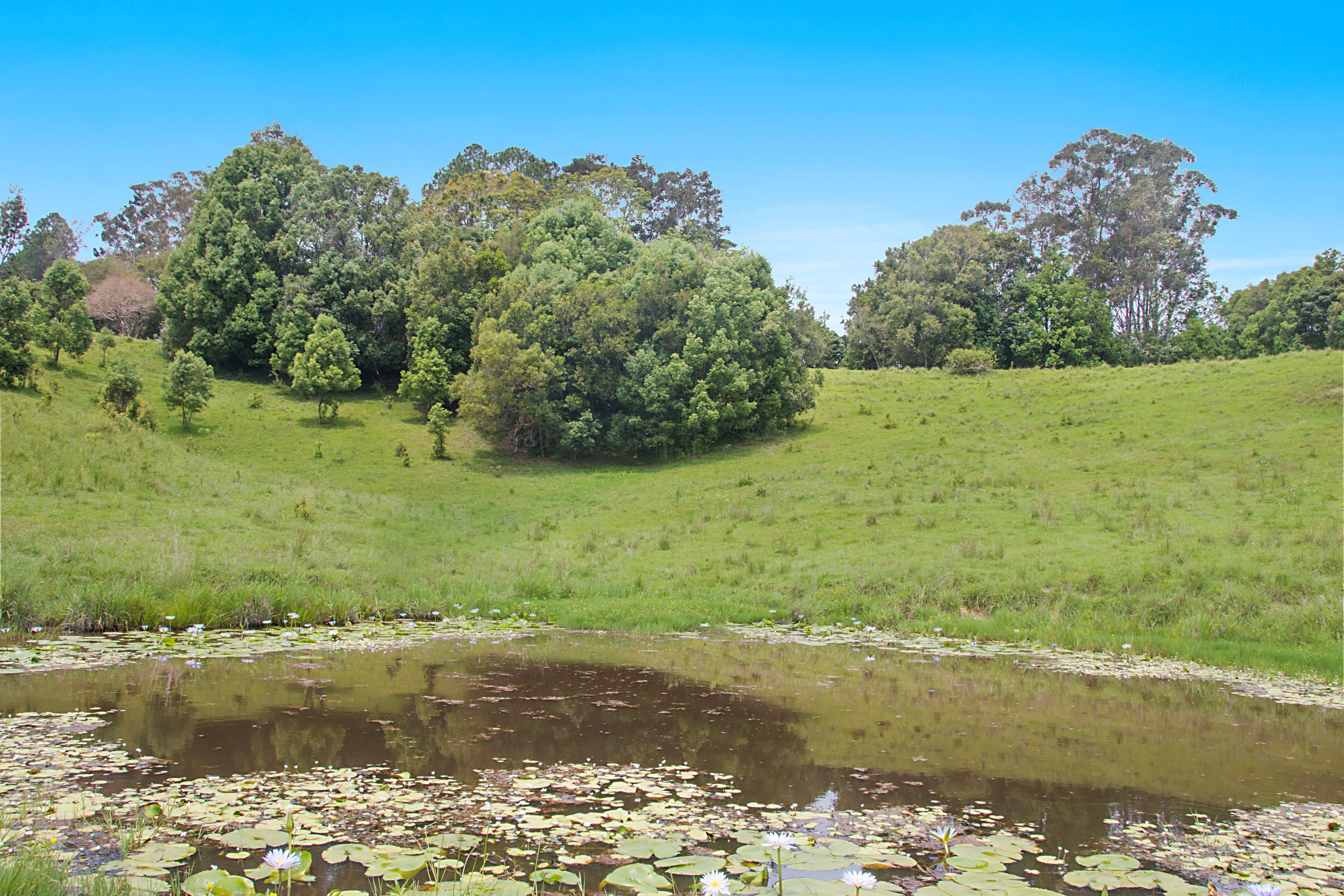 Dunbible NSW 2484, Dunbible - Thumbnail 8