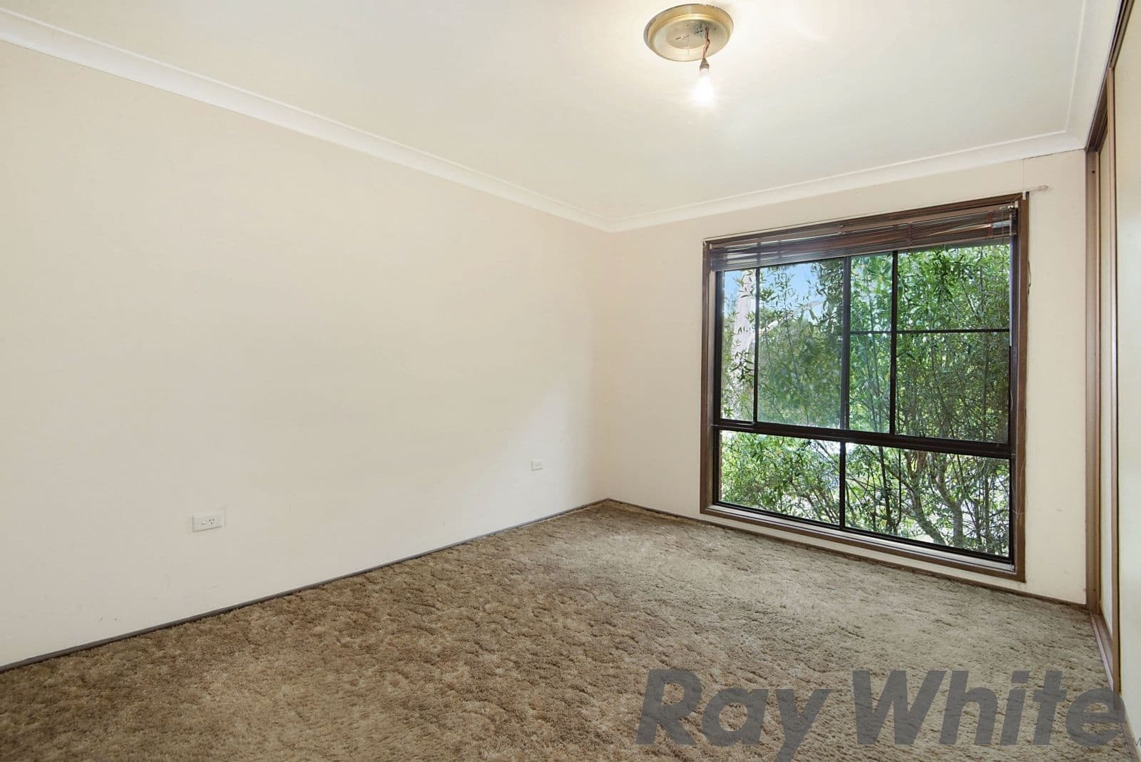 11 Kolodong Drive, Quakers Hill - Thumbnail 6