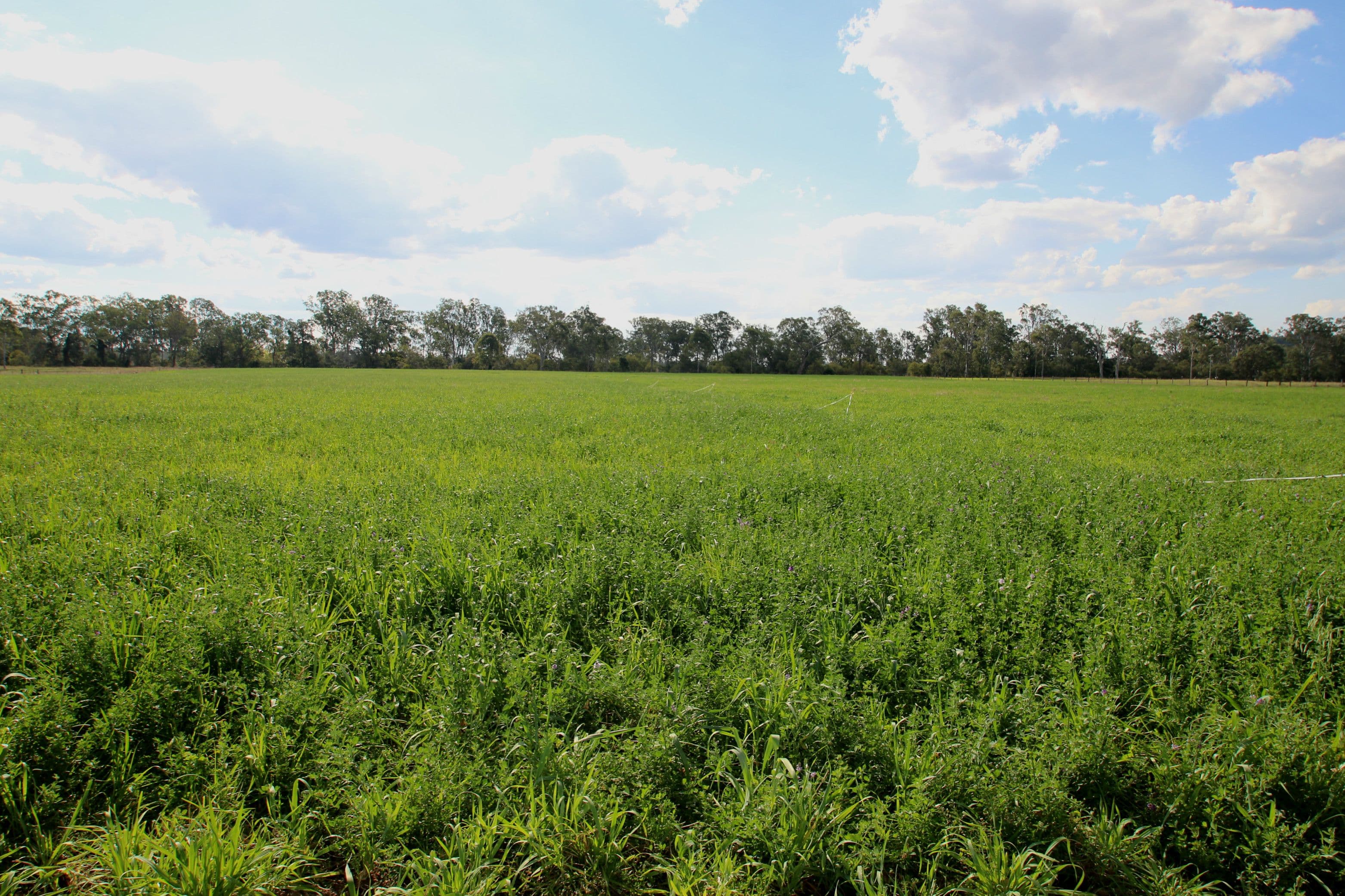 Monto QLD 4630, Monto - Thumbnail 7