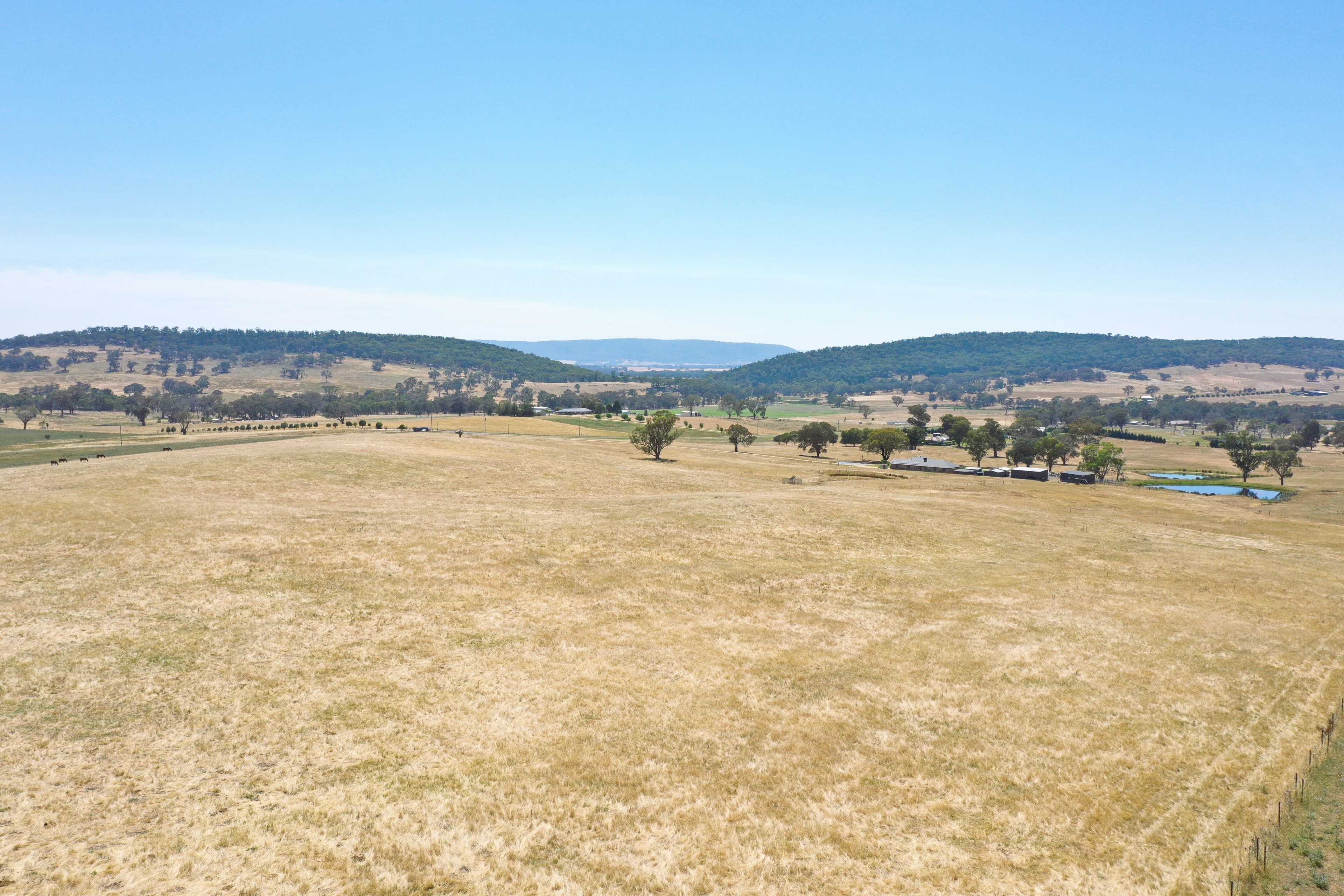 195 Wambanumba Drive, Young NSW 2594, Young - Thumbnail 2
