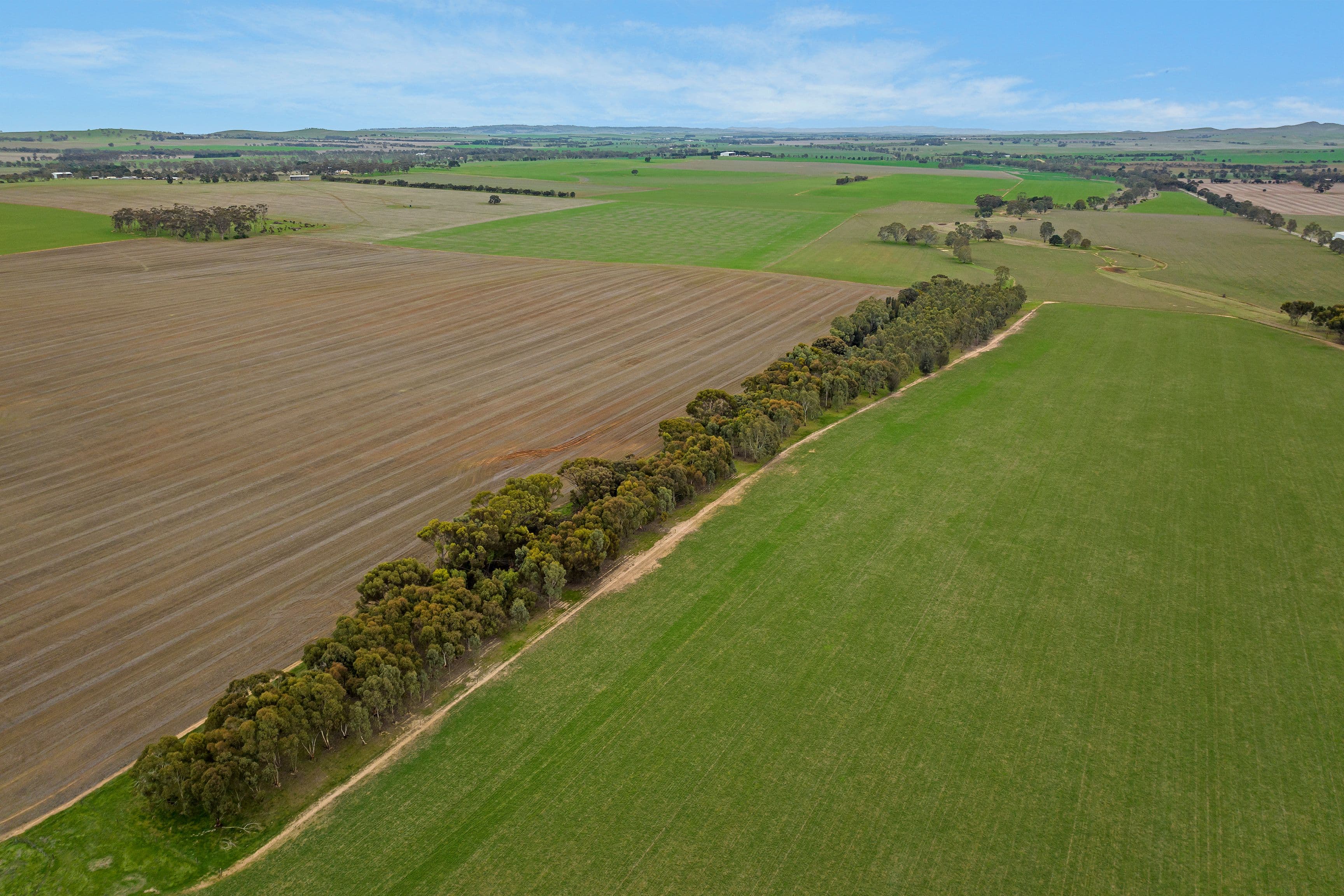 Lot 2 'East' 206 Lally Road, Hill River SA 5453, Hill River - Thumbnail 5