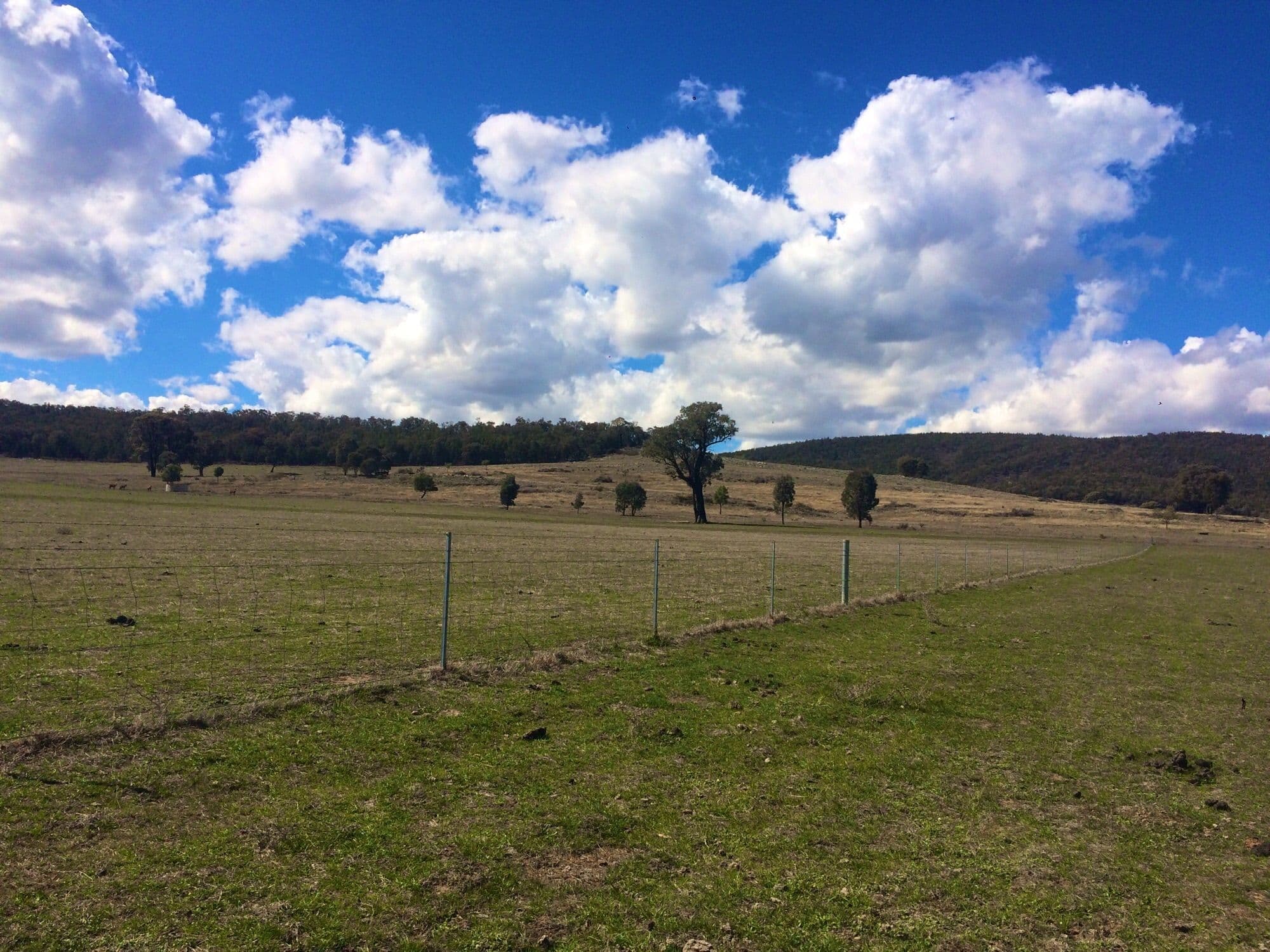 Lot 2 Fragar Road, Cowra NSW 2794, Cowra - Thumbnail 5