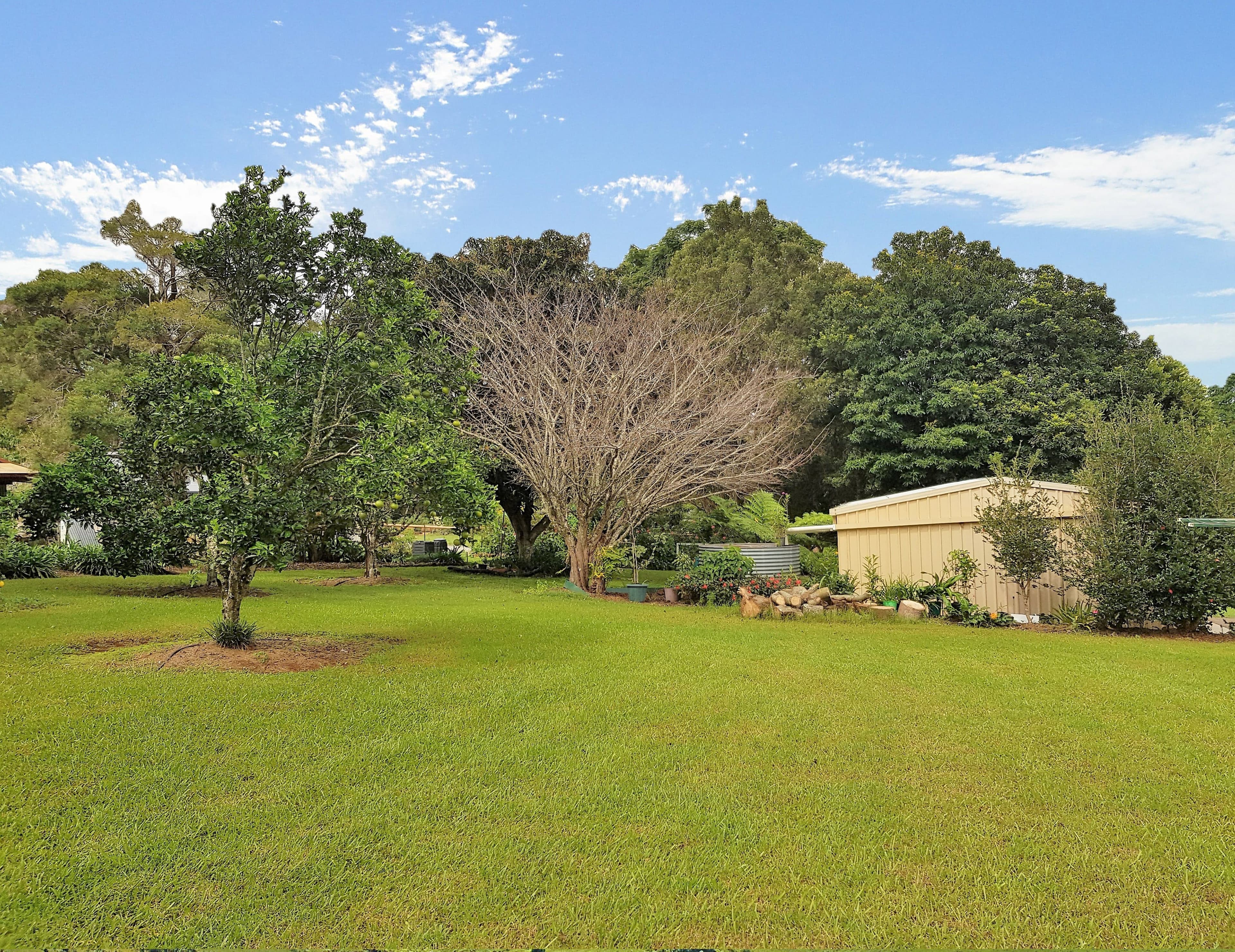 23 Burgess Avenue, Maleny QLD 4552, Maleny - Thumbnail 2