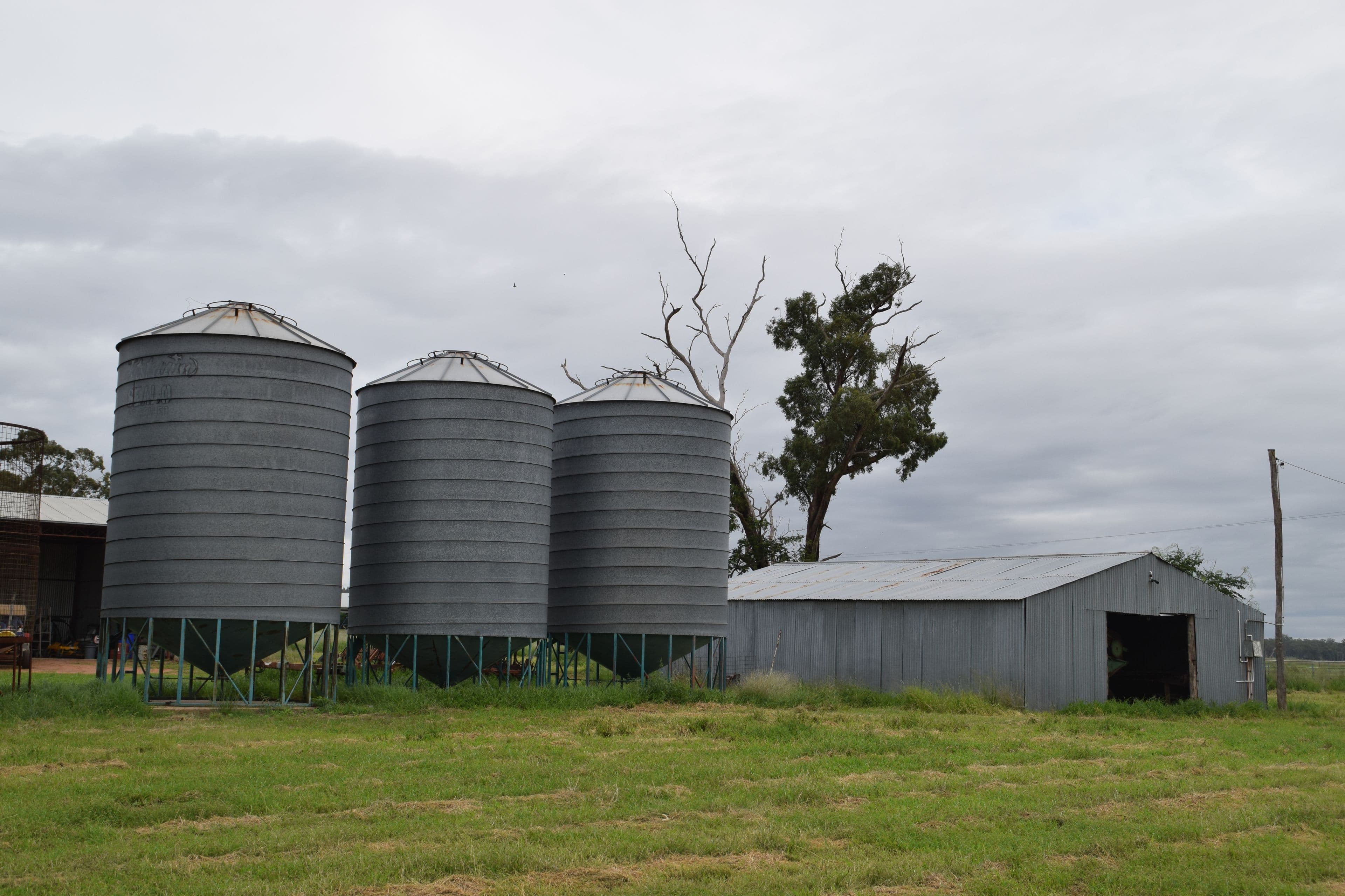 'Appletree Flat' 1864 Castlereagh Highway, Mendooran NSW 2842, Mendooran - Thumbnail 5
