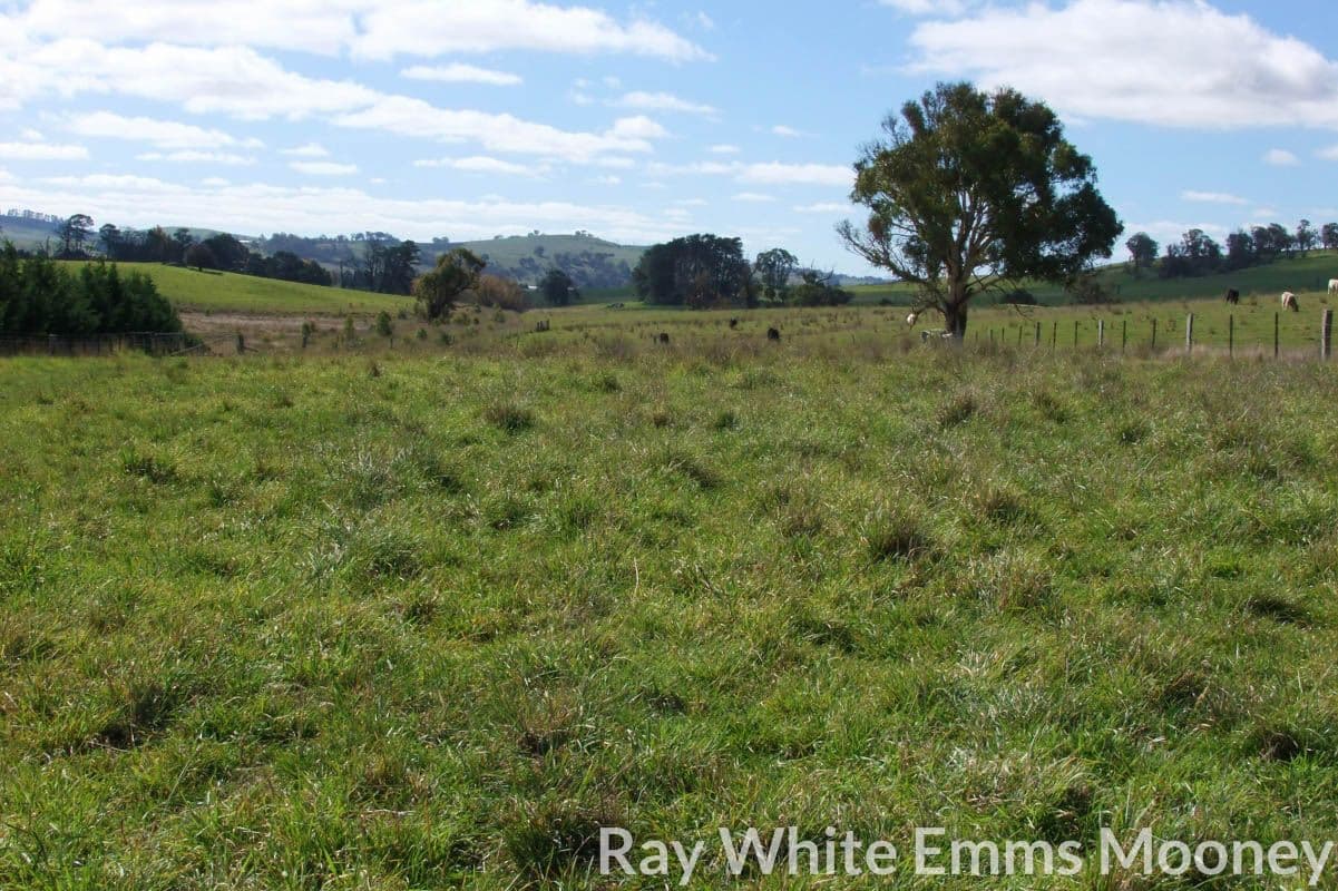 Blayney NSW 2799, Blayney - Thumbnail 8