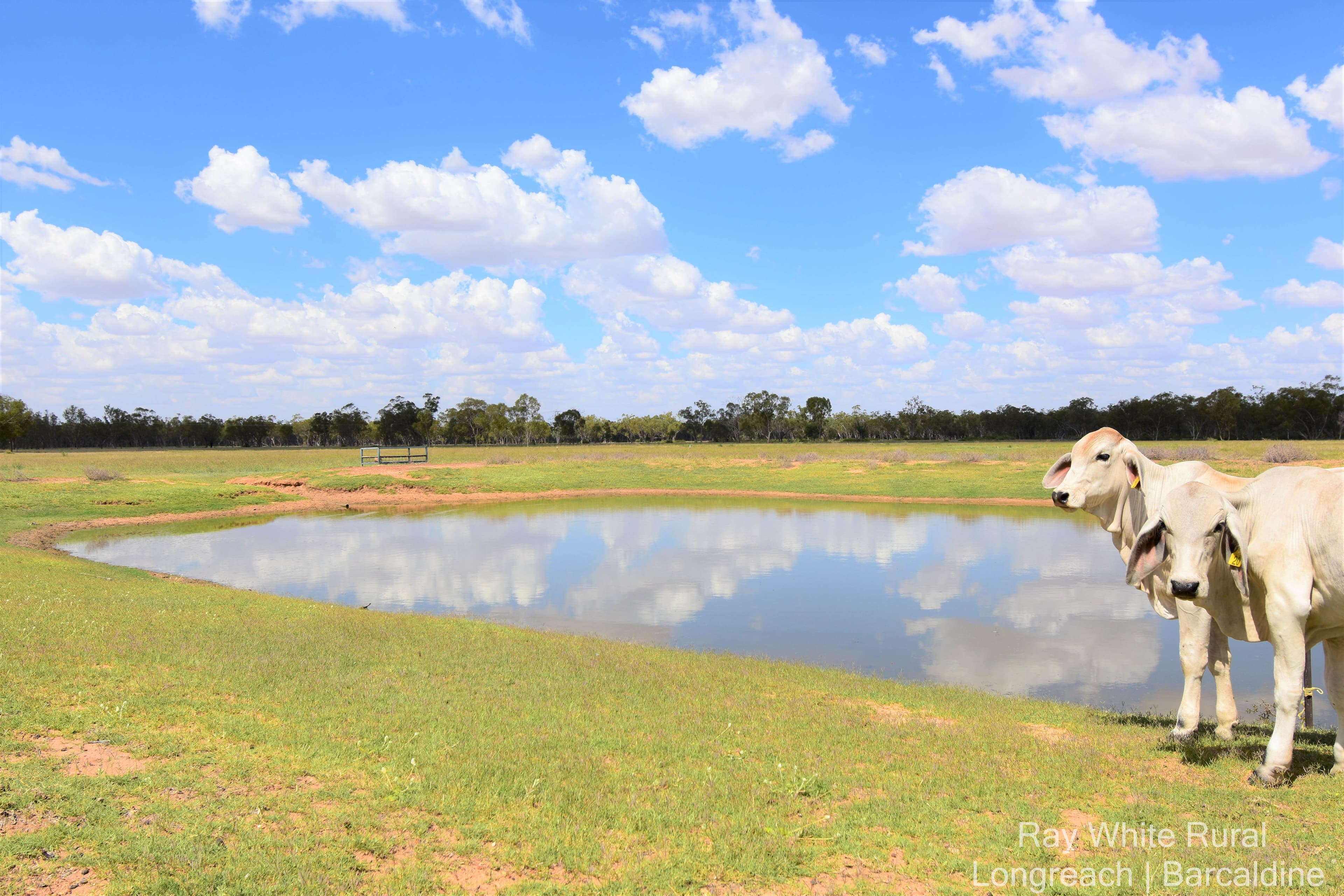 56880 Capricorn Highway, Barcaldine QLD 4725, Barcaldine - Image 1