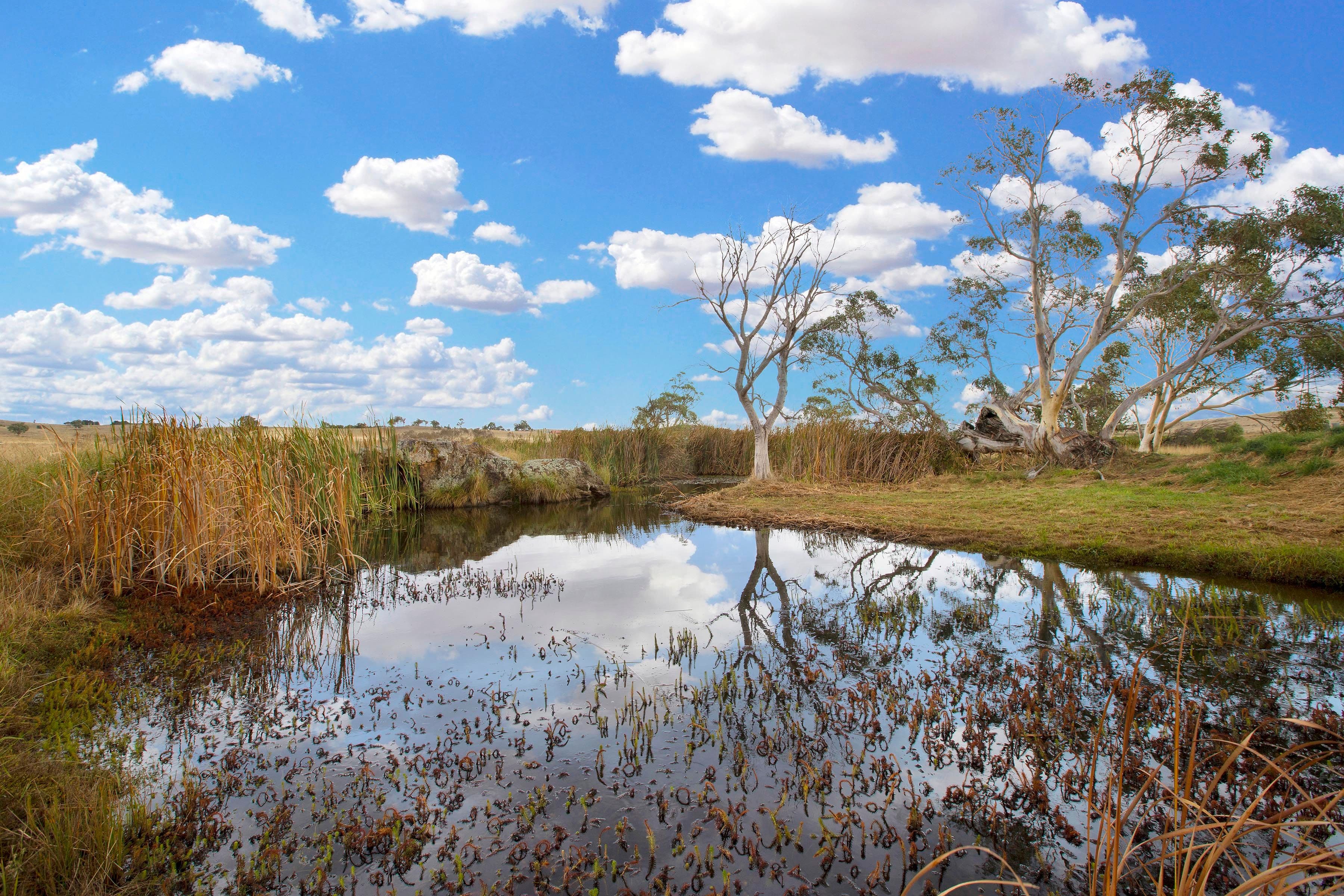 Lot 2, 72 Birril Close, Springrange NSW 2618, Springrange - Image 1