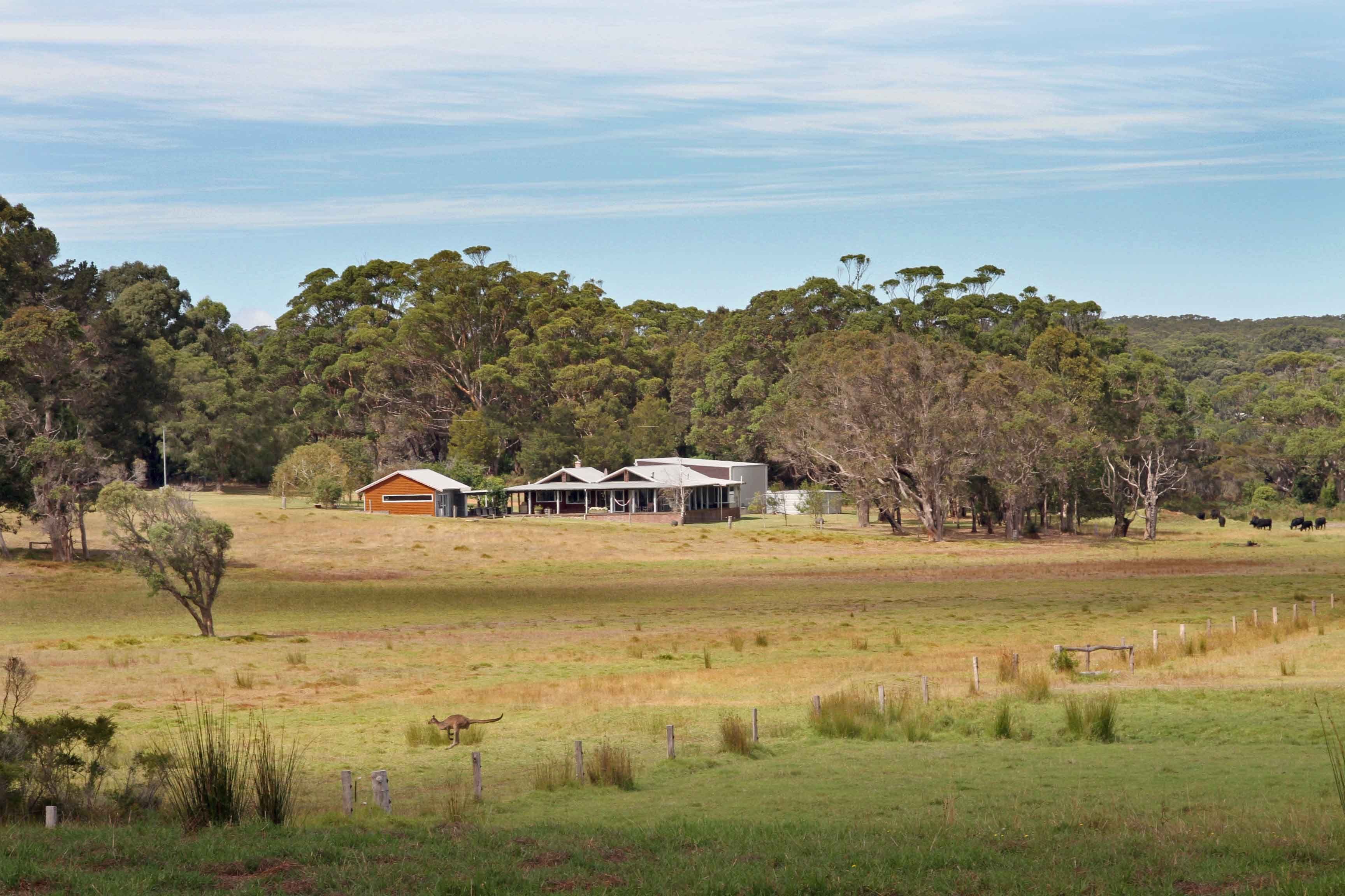 6515 South Coast Highway, Nornalup WA 6333, Nornalup - Image 1