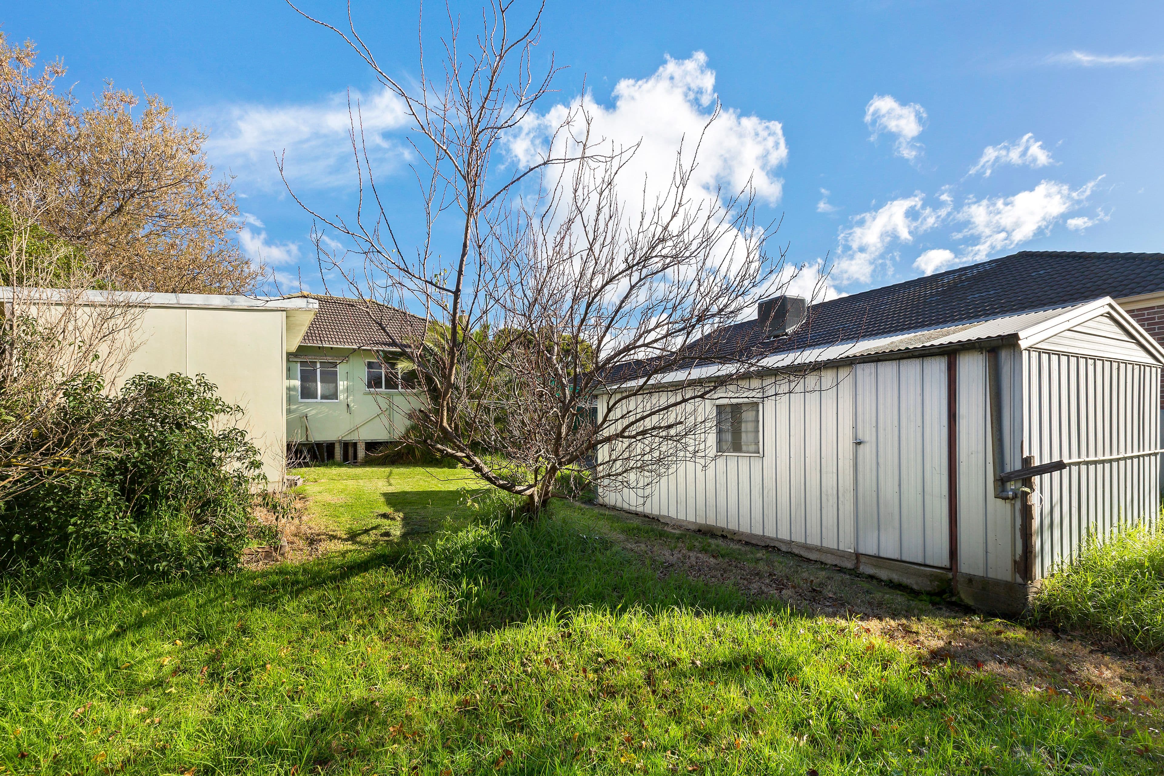 12 Carramar Street, Chadstone VIC 3148, Chadstone - Thumbnail 3