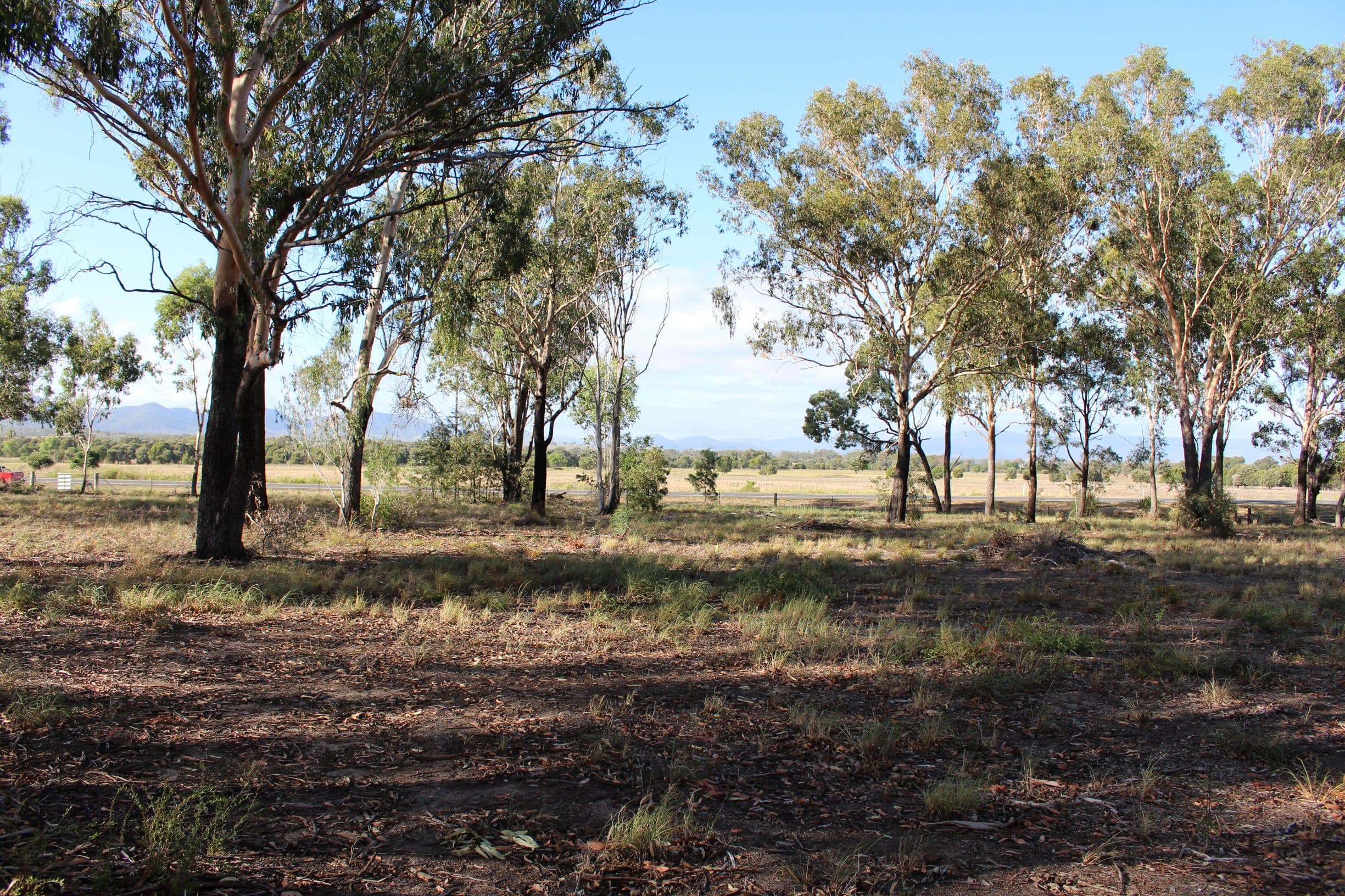 Lot 171 Bruce Highway, MARMOR QLD 4702, Marmor - Thumbnail 4