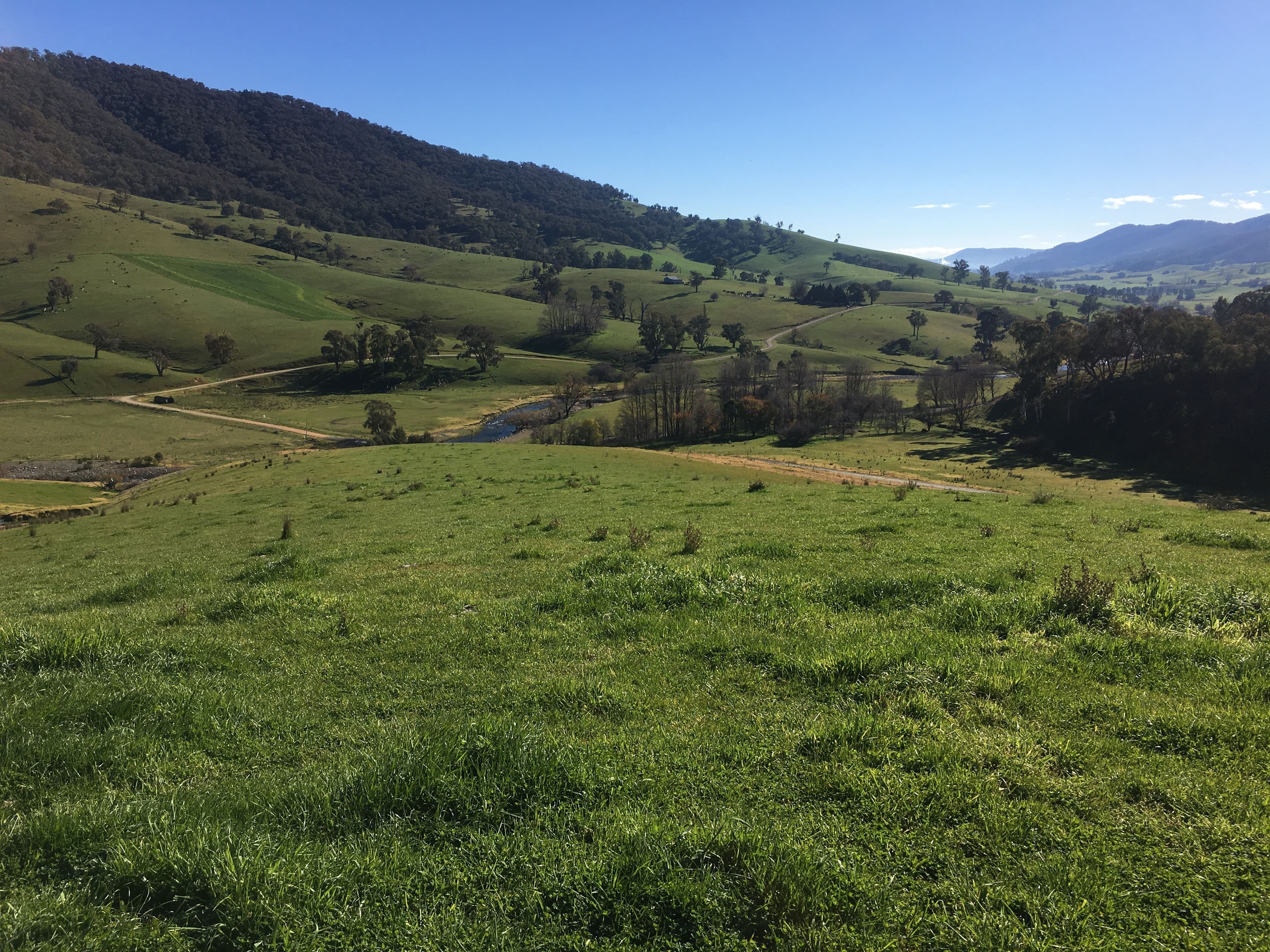 1435 (Lot 9, 10 and 11) East Gilmore Road, Tumut NSW 2720, Tumut - Thumbnail 2