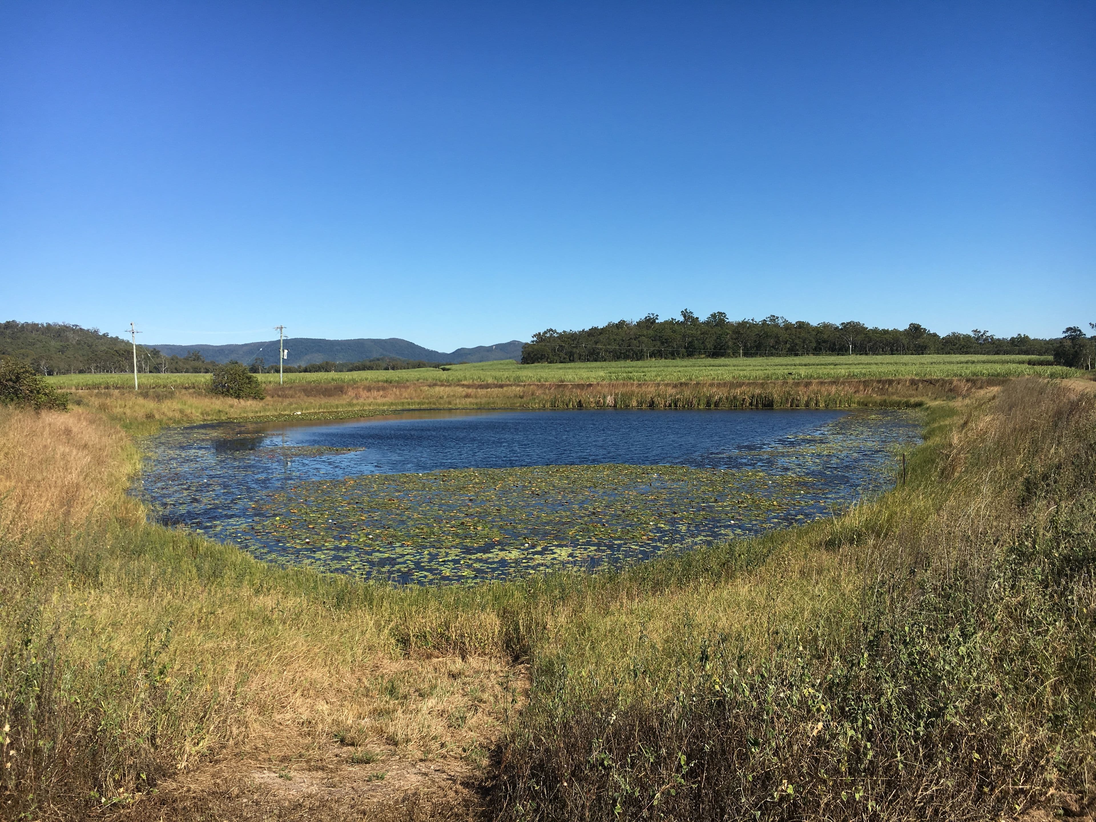 80 Cone Creek Road, Koumala QLD 4738, Koumala - Thumbnail 3