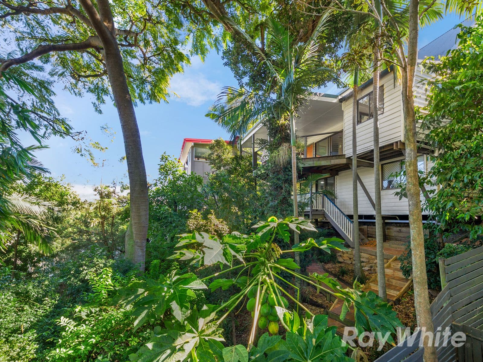 38 David Street, Alderley QLD 4051, Alderley - Thumbnail 3