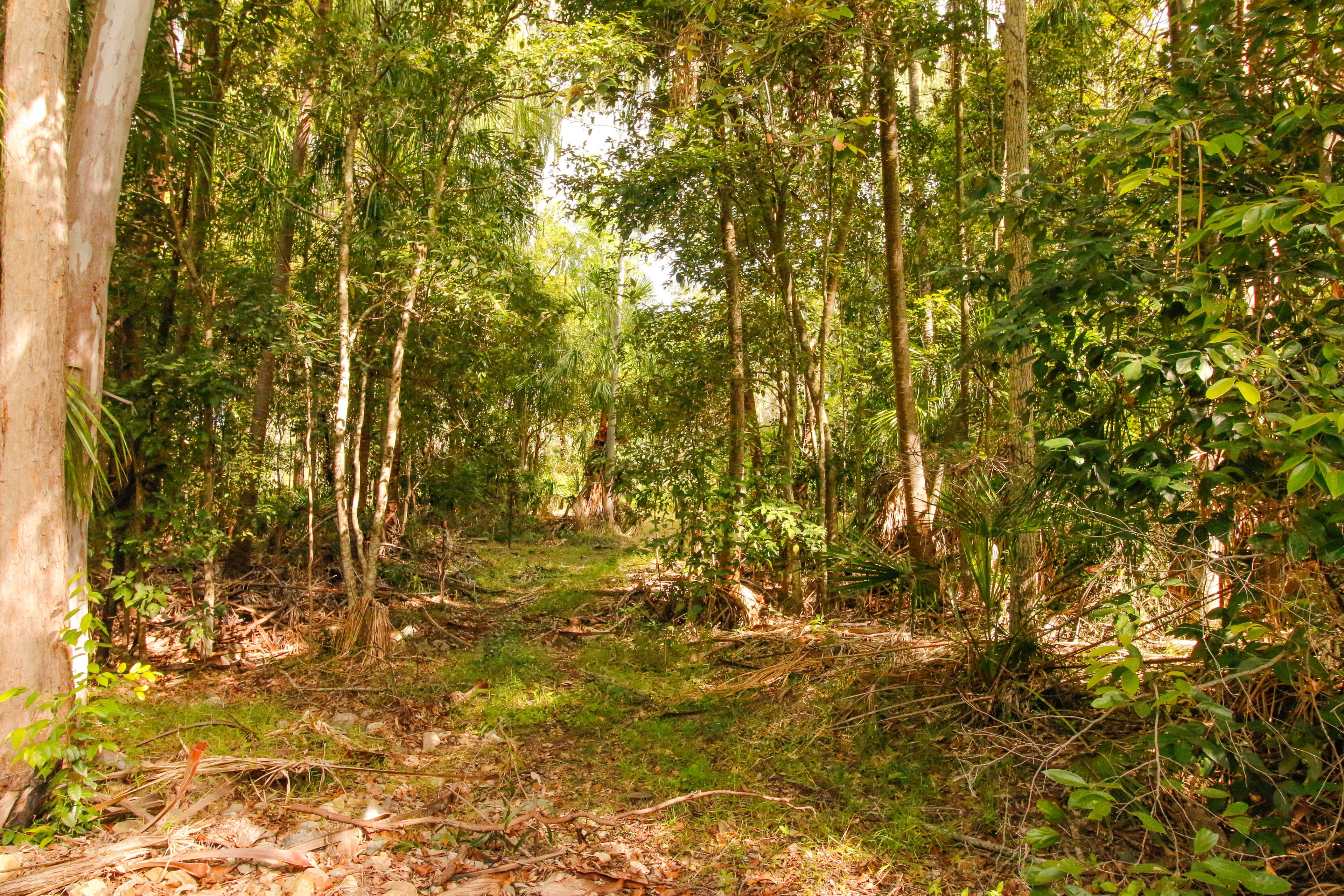 Bororen QLD 4678, Bororen - Thumbnail 7