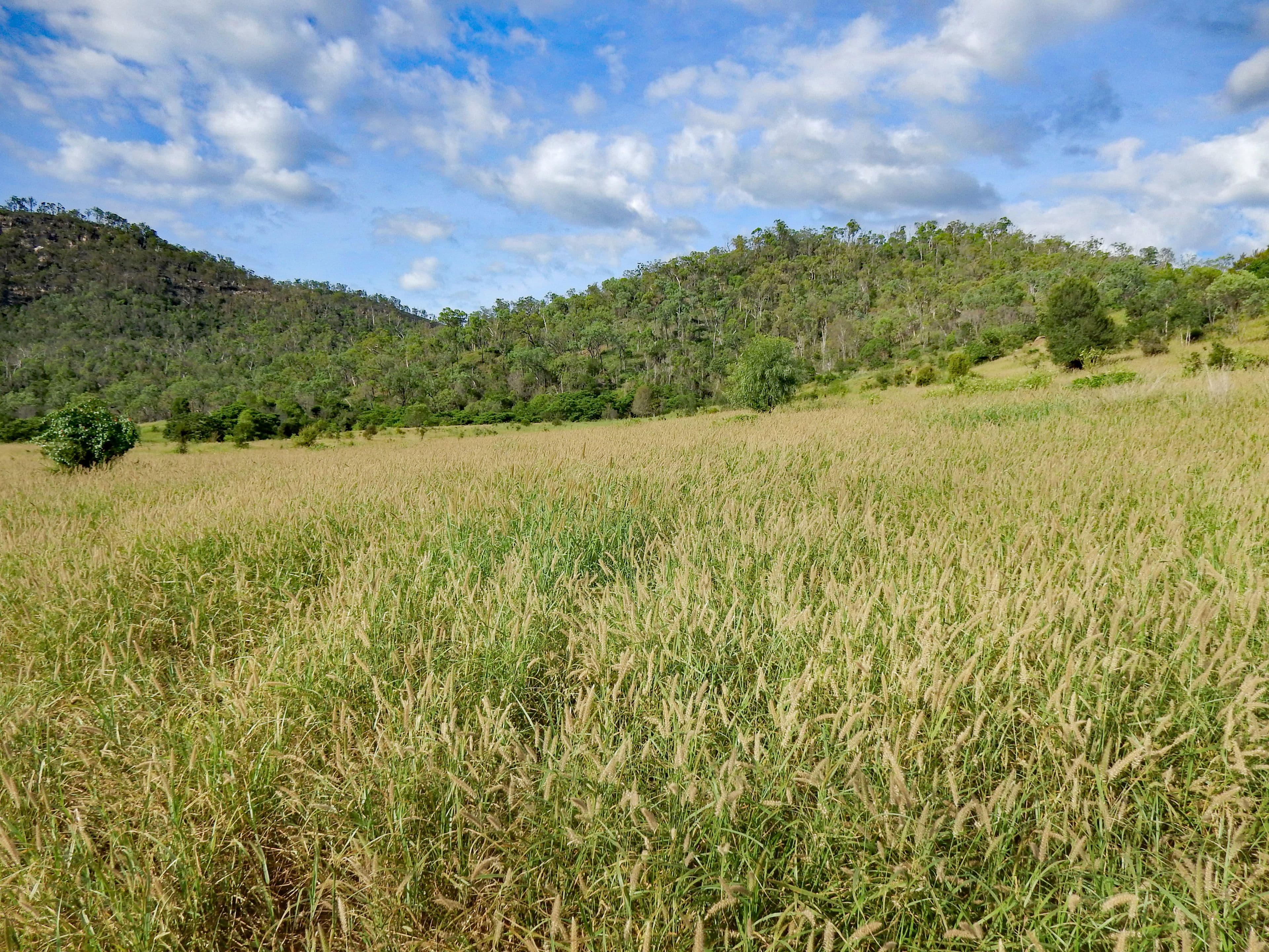 Dumgree QLD 4715, Dumgree - Thumbnail 4