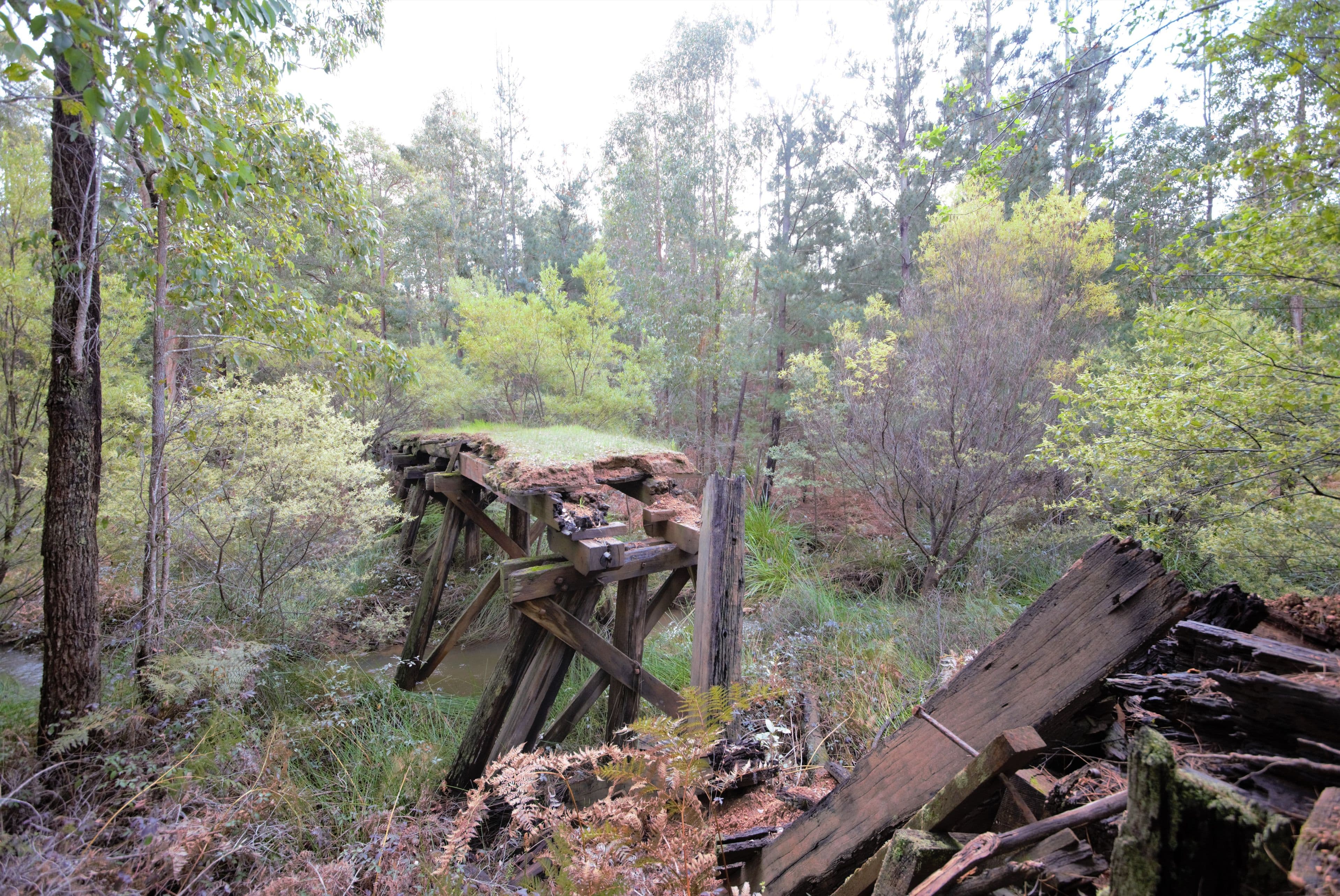 Nannup WA 6275, Nannup - Image 1