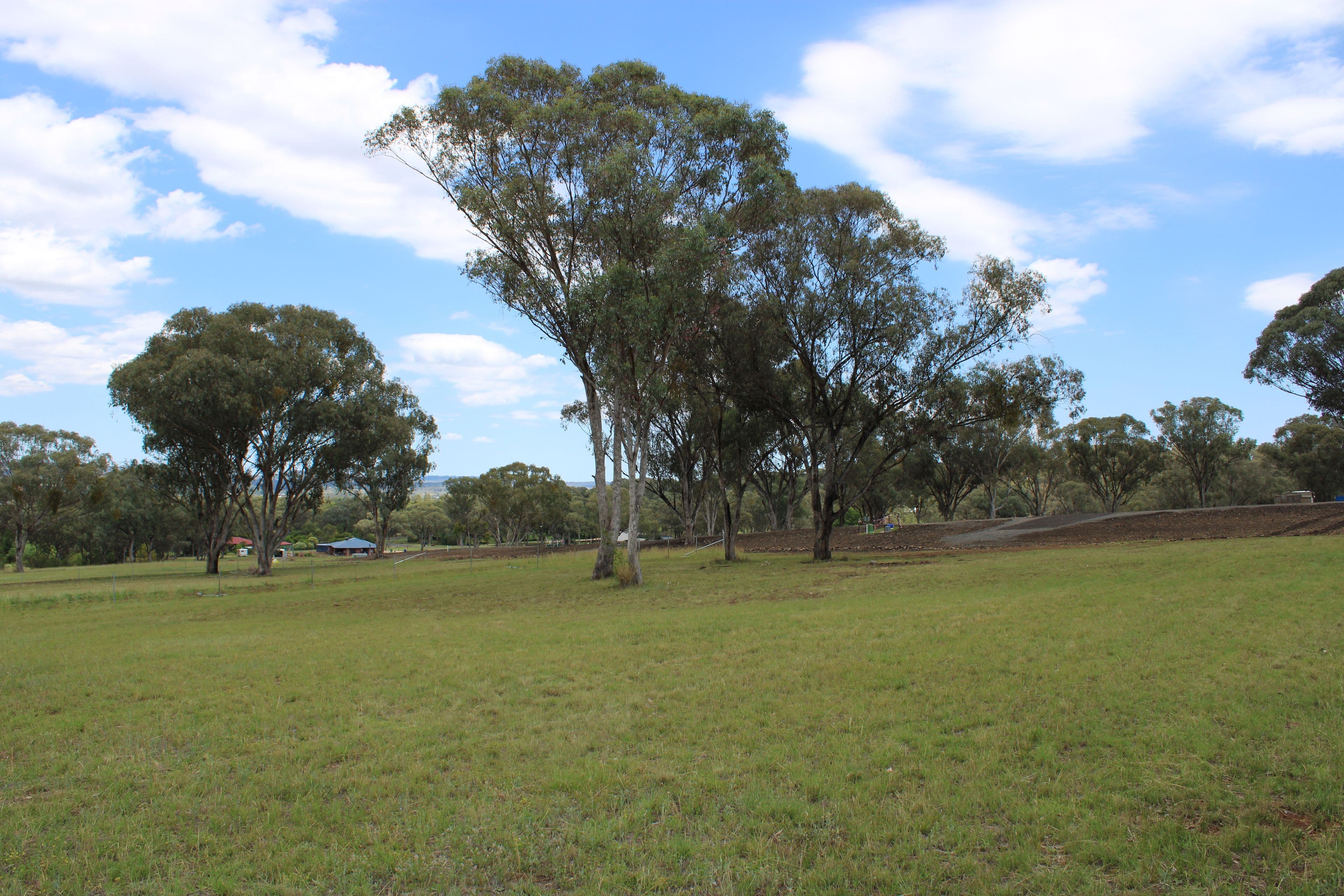 66 Bimbadeen Drive, Inverell NSW 2360, Inverell - Thumbnail 6