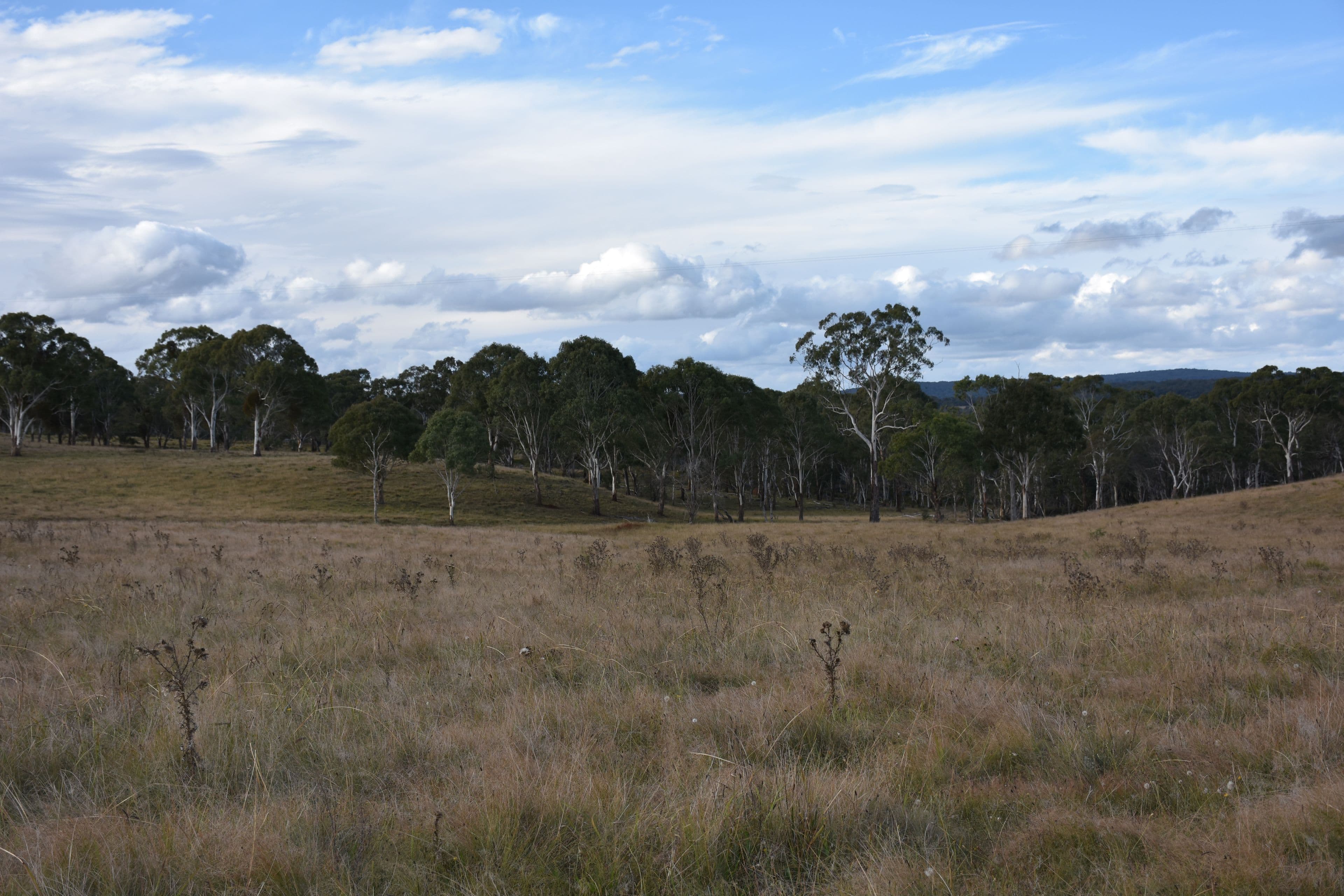 0 Donnelly's, Glen Innes NSW 2370, Glen Innes - Thumbnail 5