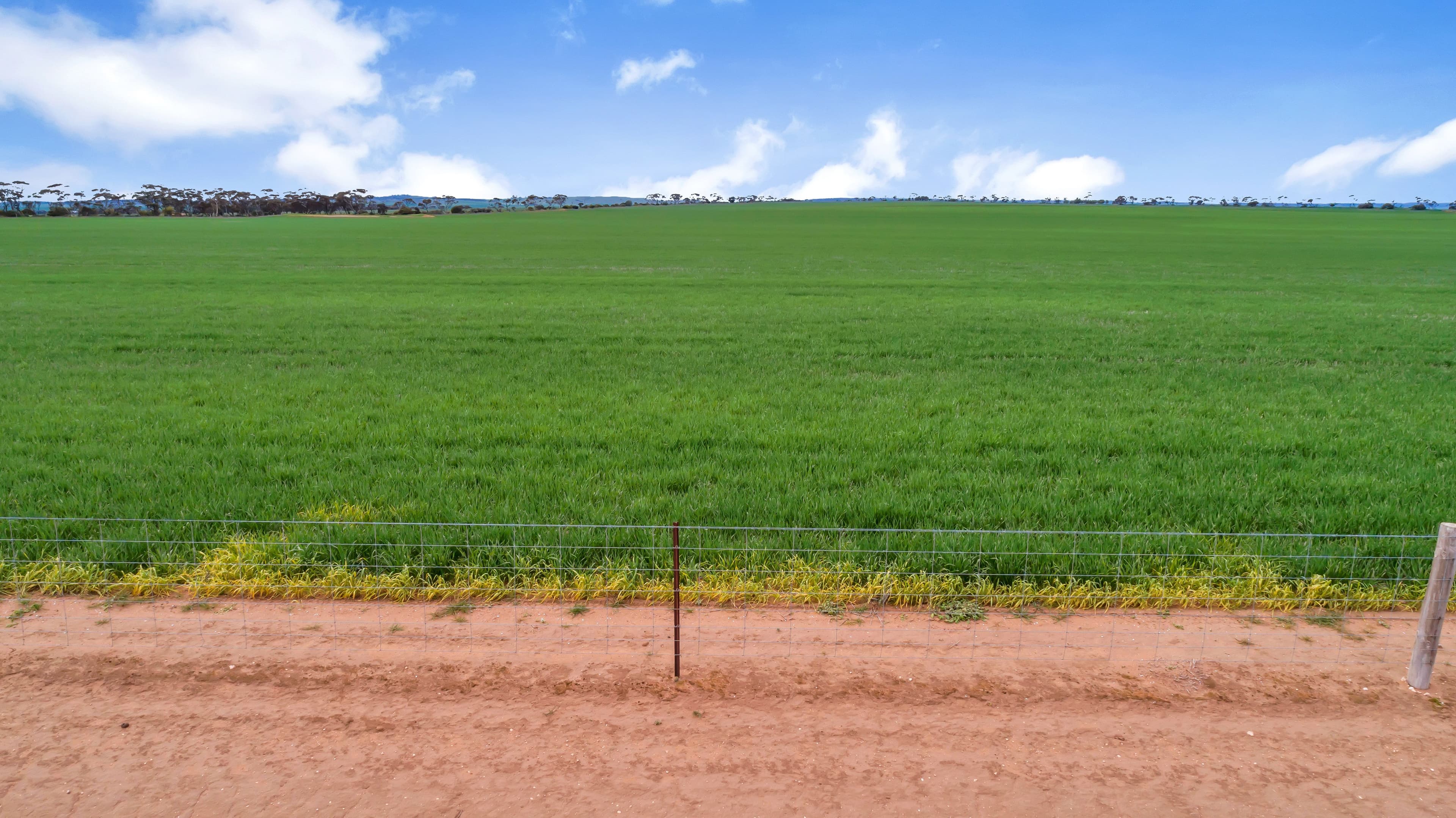 'Smitham's' 470 Smitham Road, Hart SA 5464, Hart - Thumbnail 4