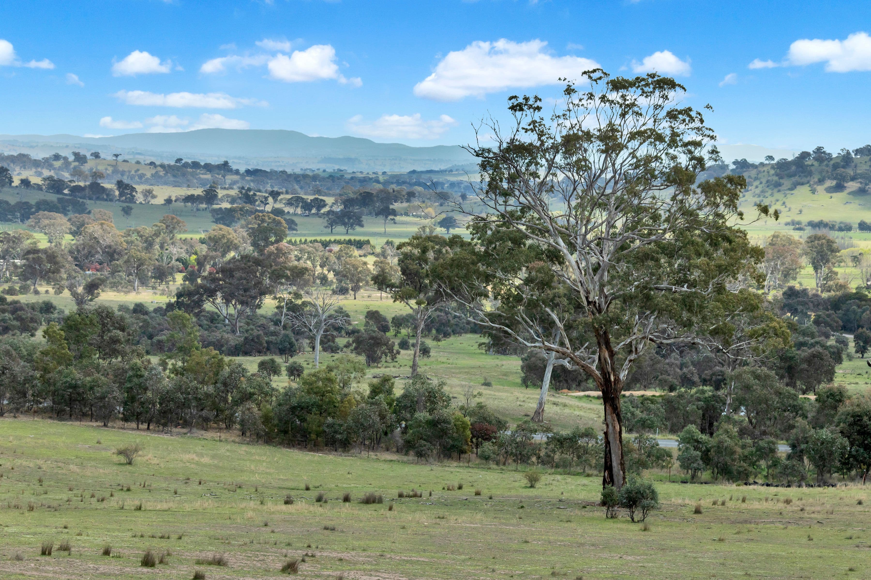 Lot 2 Nanima Road, Springrange NSW 2618, Springrange - Thumbnail 3