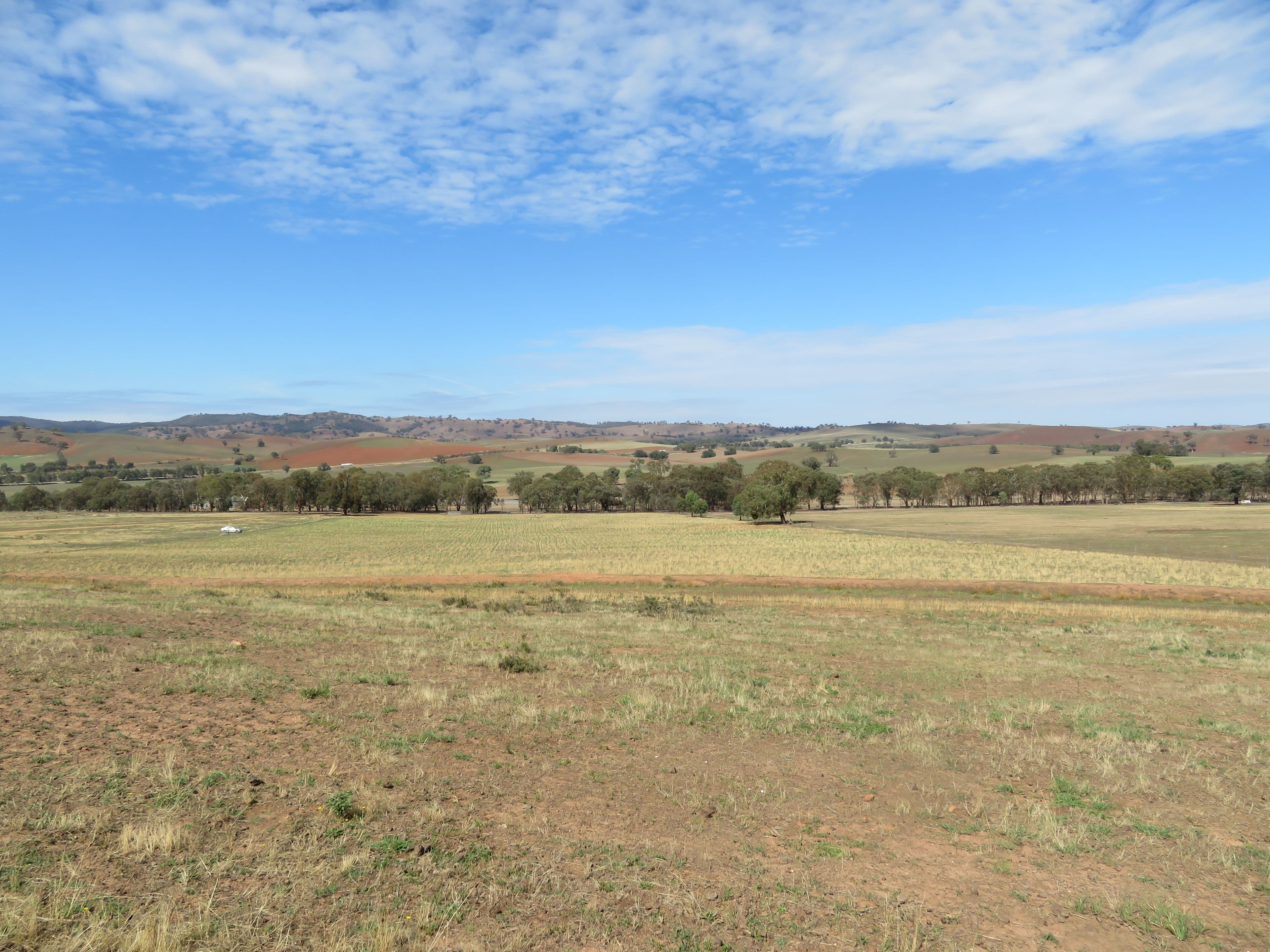 Lot 4 Old Hume Highway (Mundarlo Rd), Tumblong NSW 2729, Tumblong - Thumbnail 2