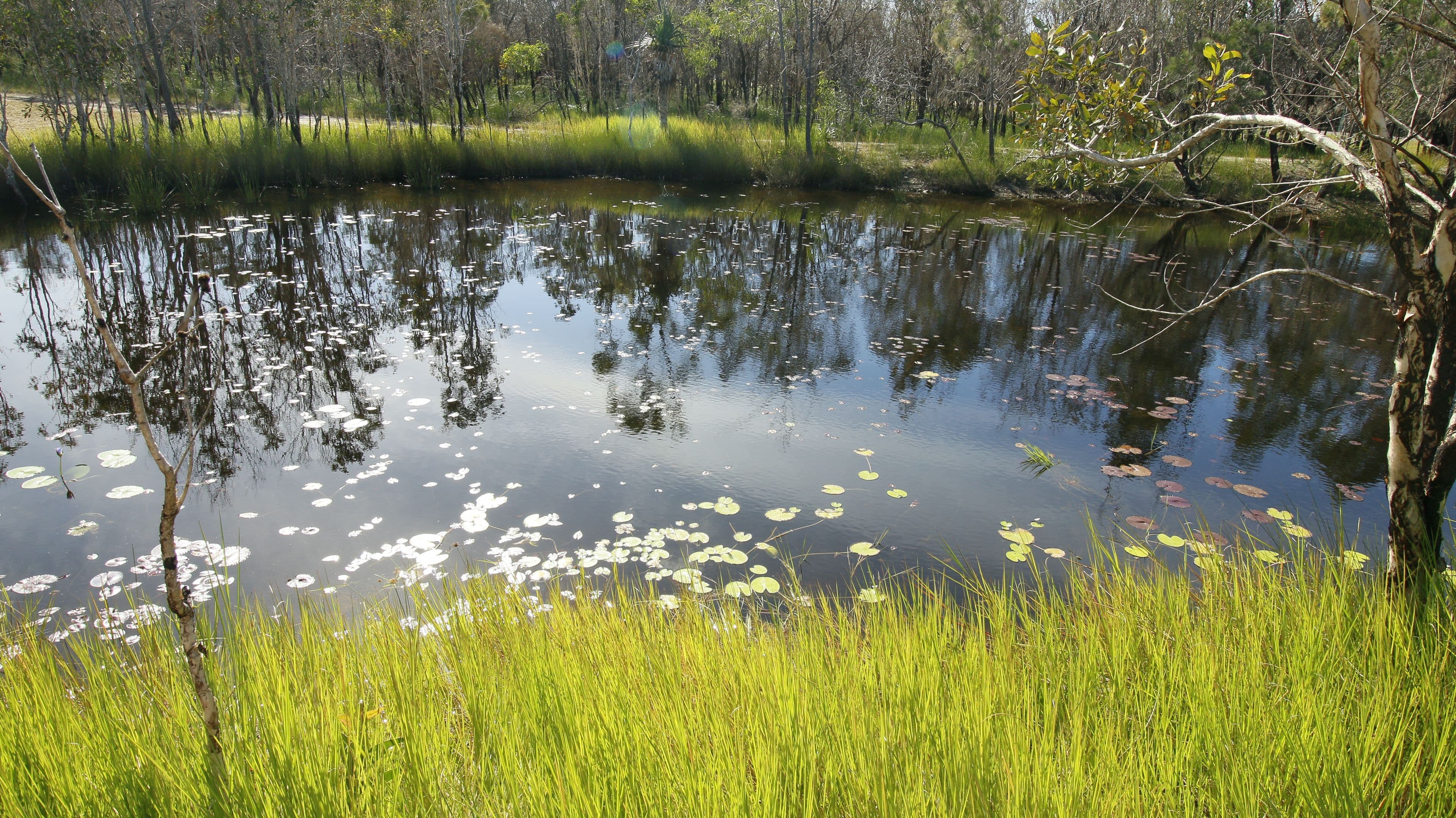 Lot 236 Allingham Way, Agnes Water QLD 4677, Agnes Water - Thumbnail 5