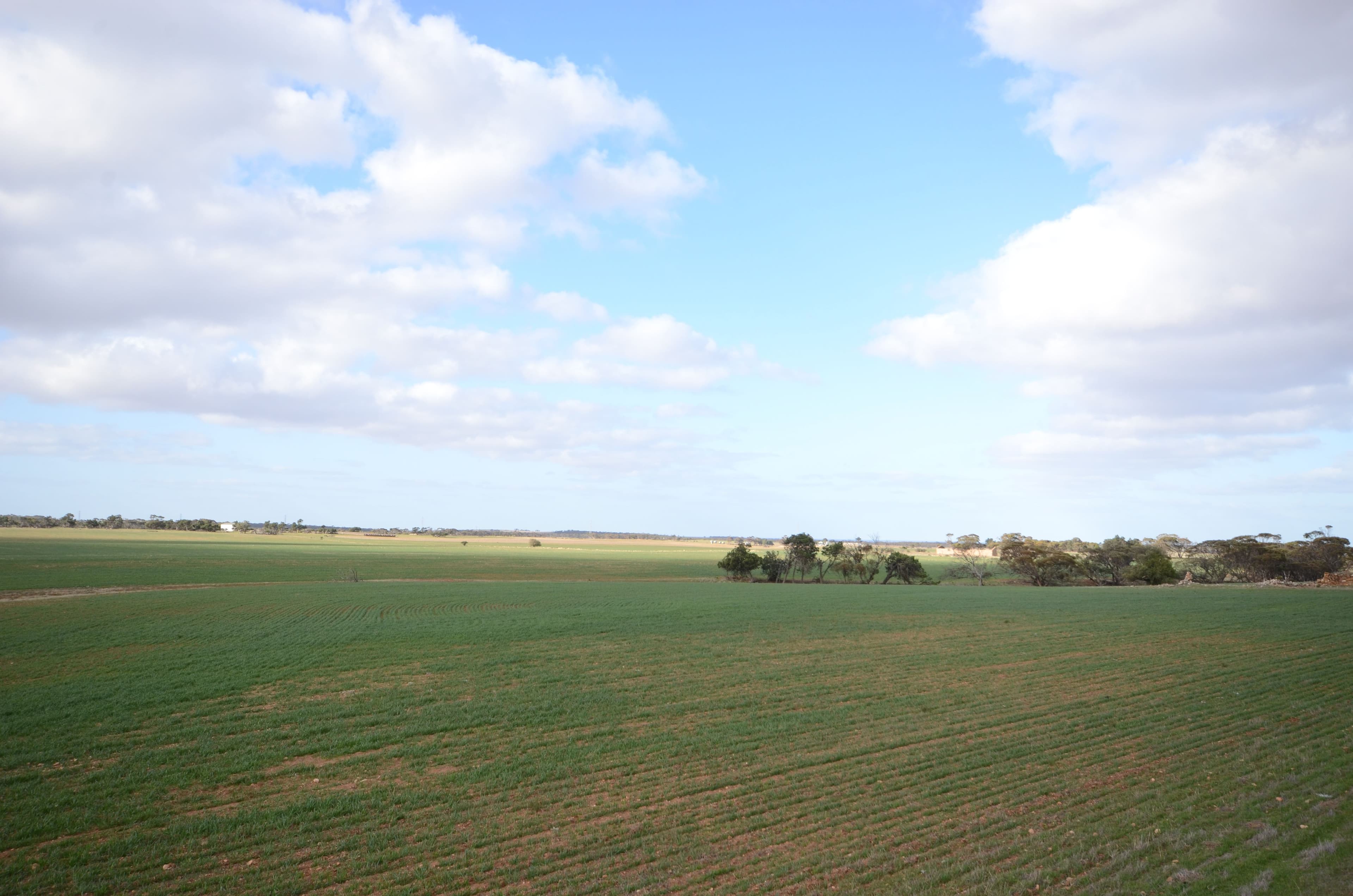 "Roockes" and "Schulzs" - Von Reiben Road, Neales Flat SA 5374, Neales Flat - Thumbnail 7