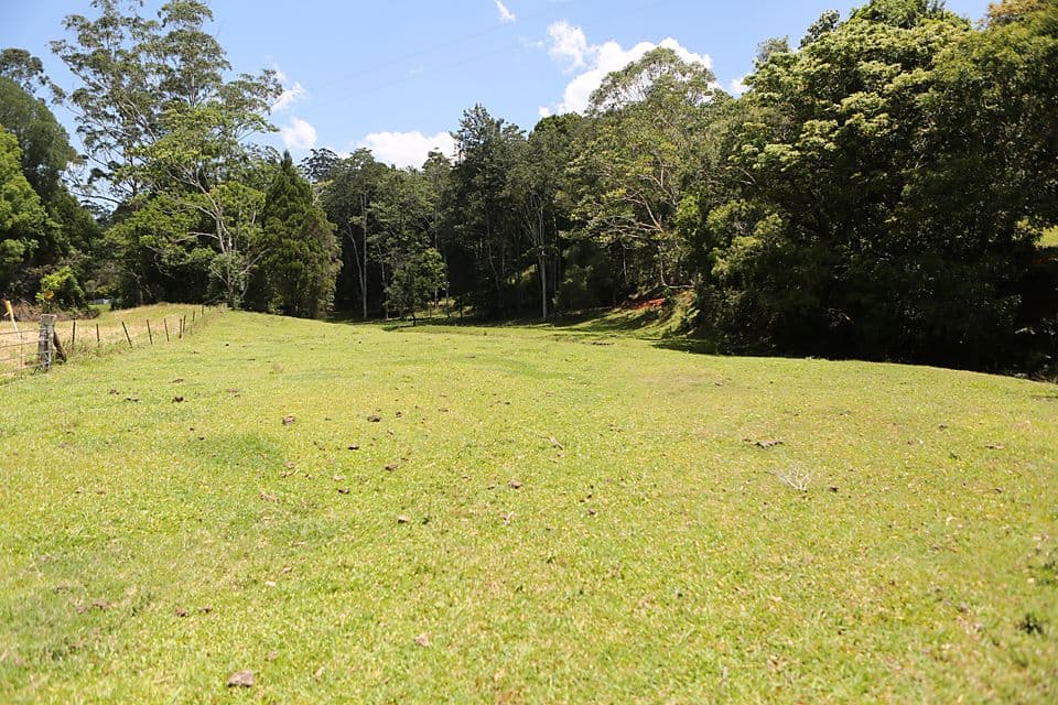 128 Syndicate Road, Tallebudgera Valley QLD 4228, Tallebudgera Valley - Thumbnail 6