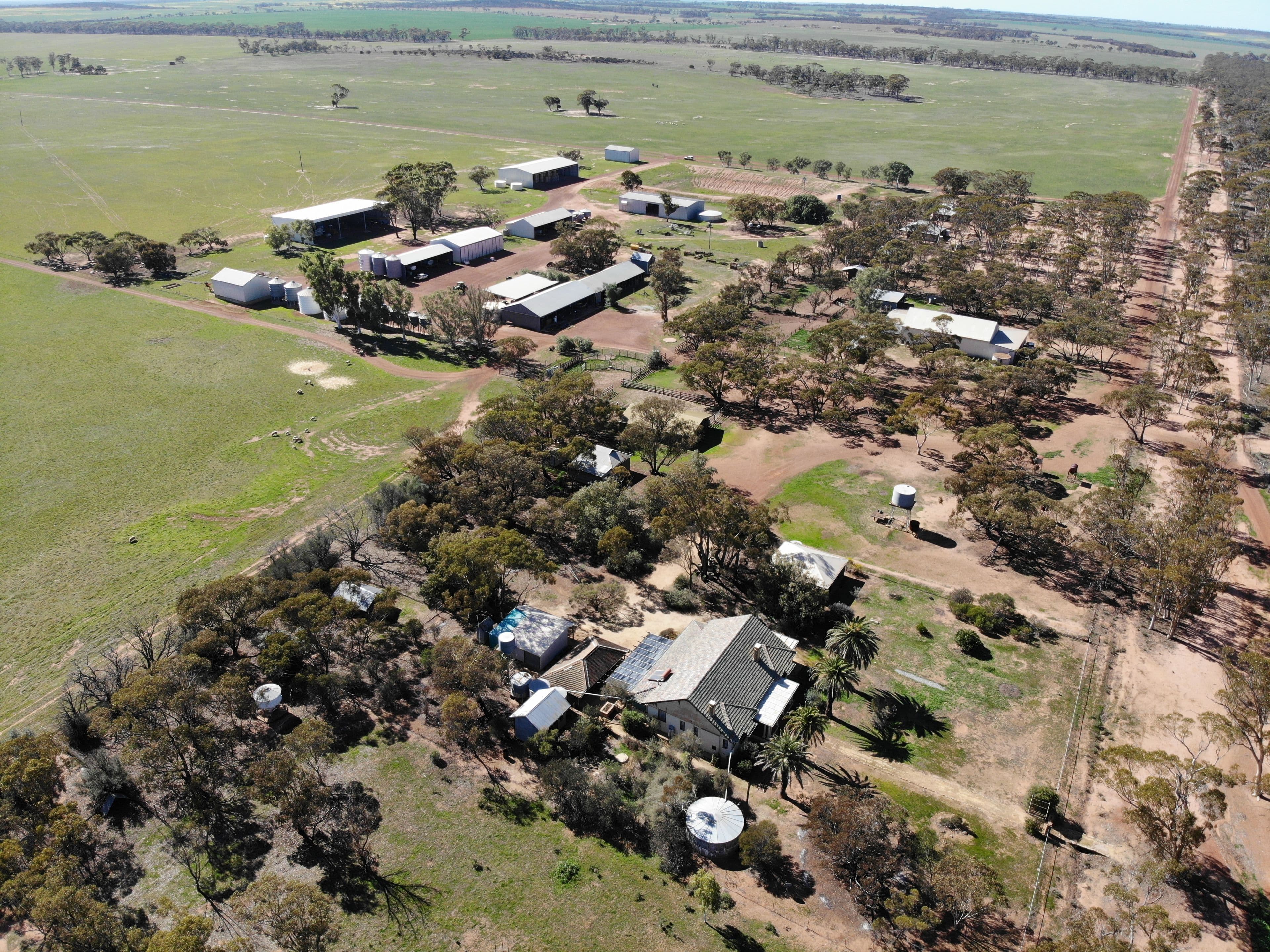 Koobabbie 953 Mamboobie Road, Coorow WA 6515, Coorow - Thumbnail 2