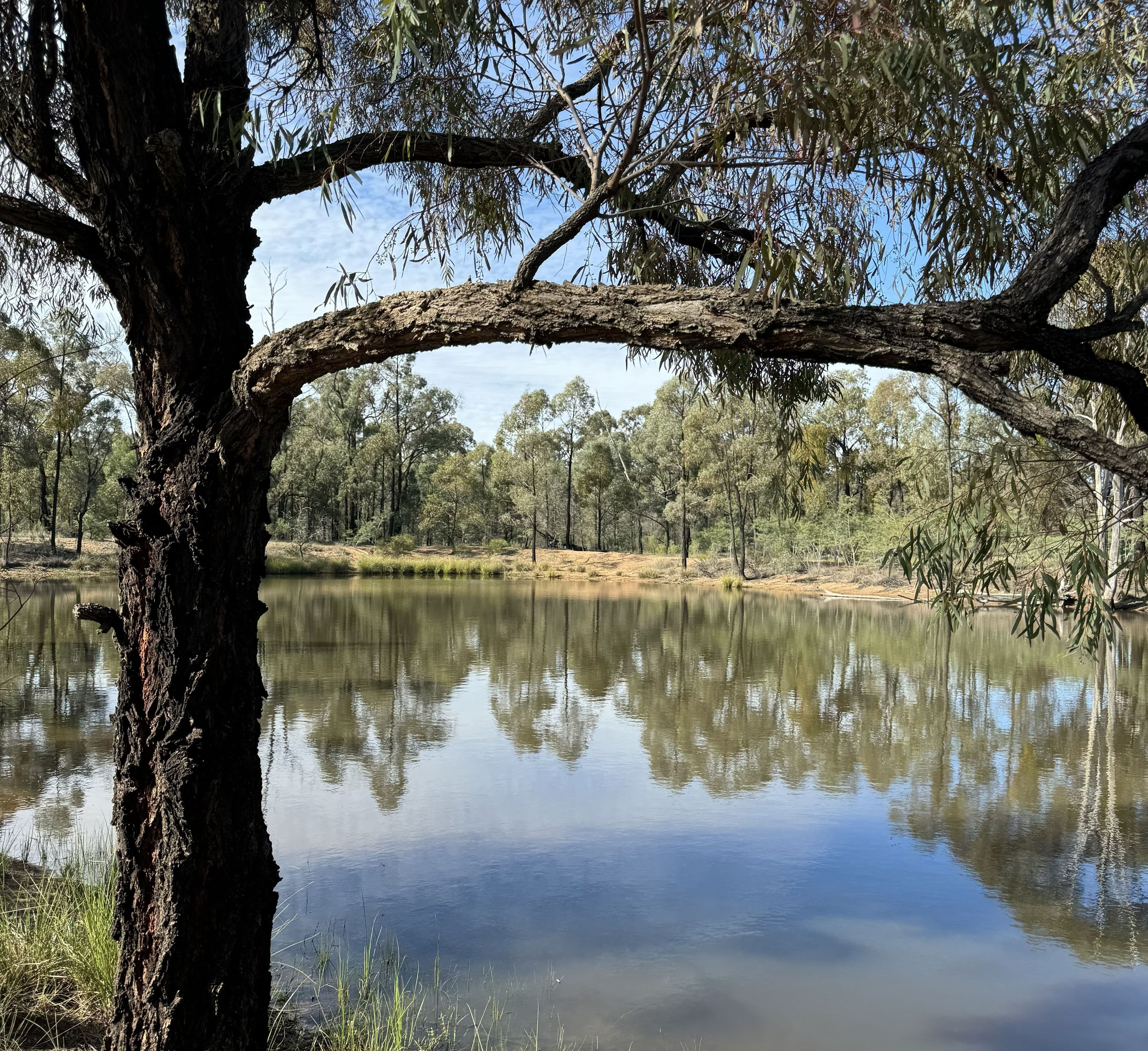 3L Wandarra Road, Dubbo NSW 2830, Brocklehurst - Thumbnail 3