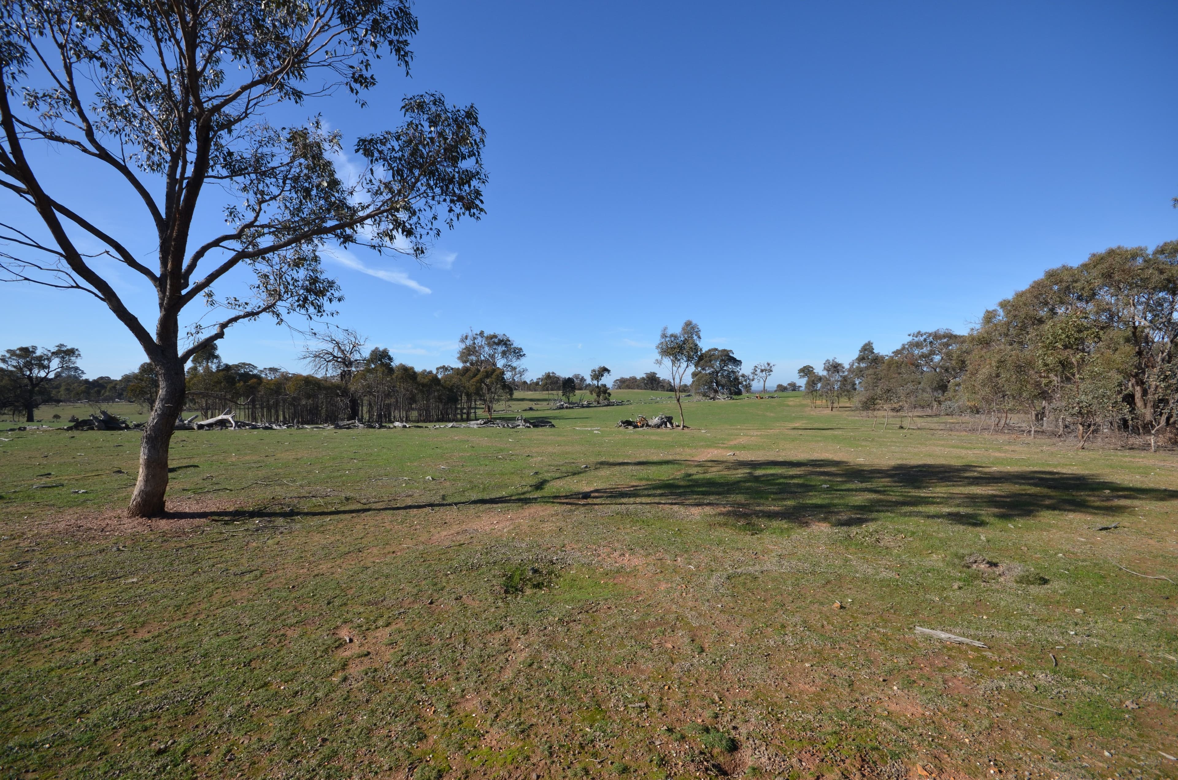 Lots 1 & 2 Lillicur West Road, Lamplough VIC 3352, Lamplough - Thumbnail 3
