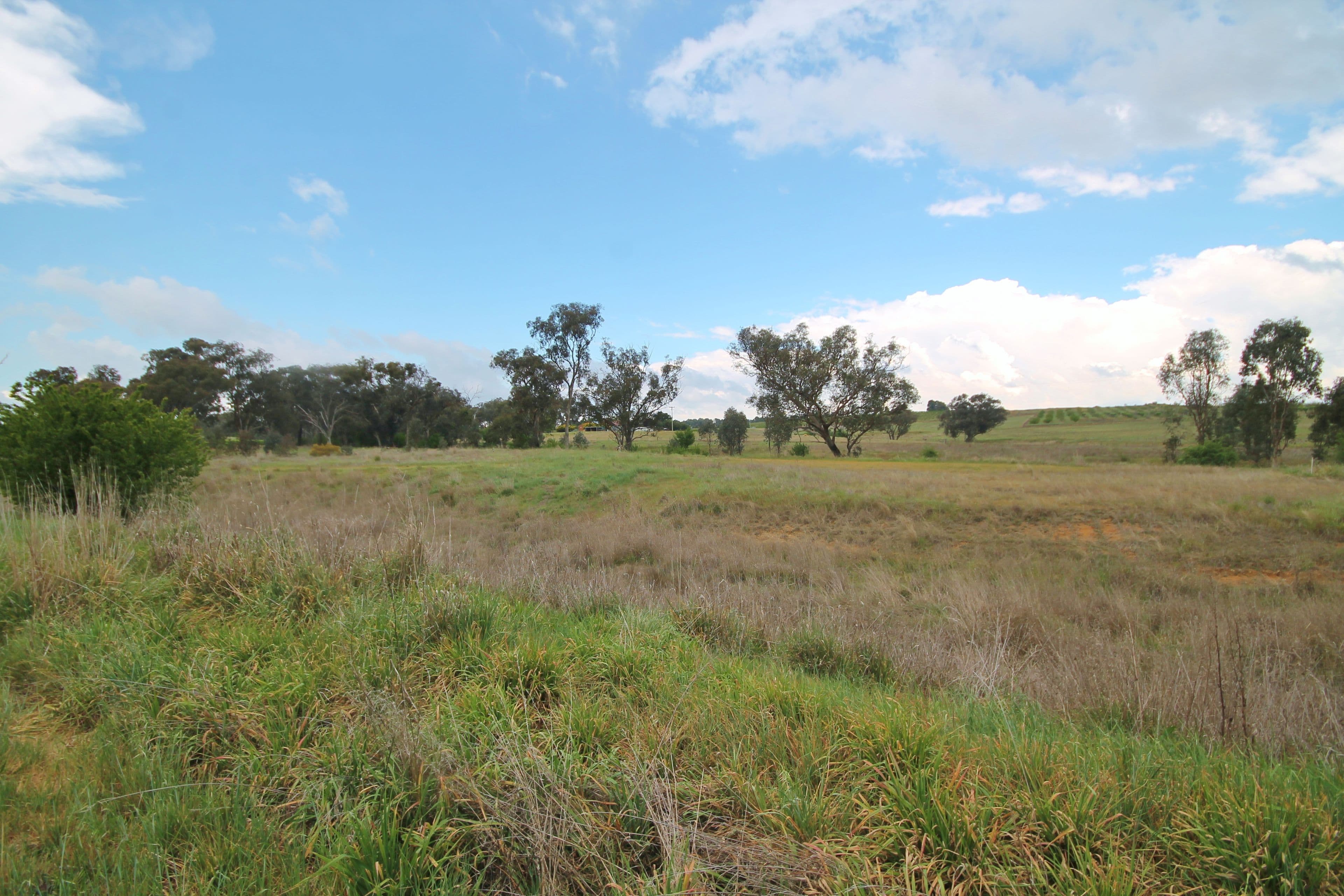189 Jasprizza Lane, Young NSW 2594, Young - Thumbnail 8