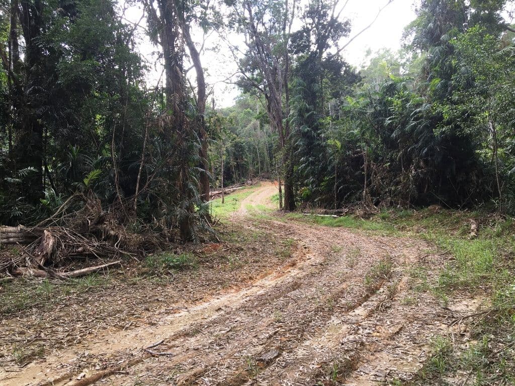 Lot 4 Forest Creek Road, Daintree, Forest Creek QLD 4873, Forest Creek - Thumbnail 5