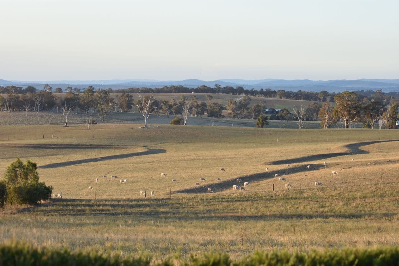 72 Burkes Road, O'Connell NSW 2795, O'Connell - Thumbnail 4