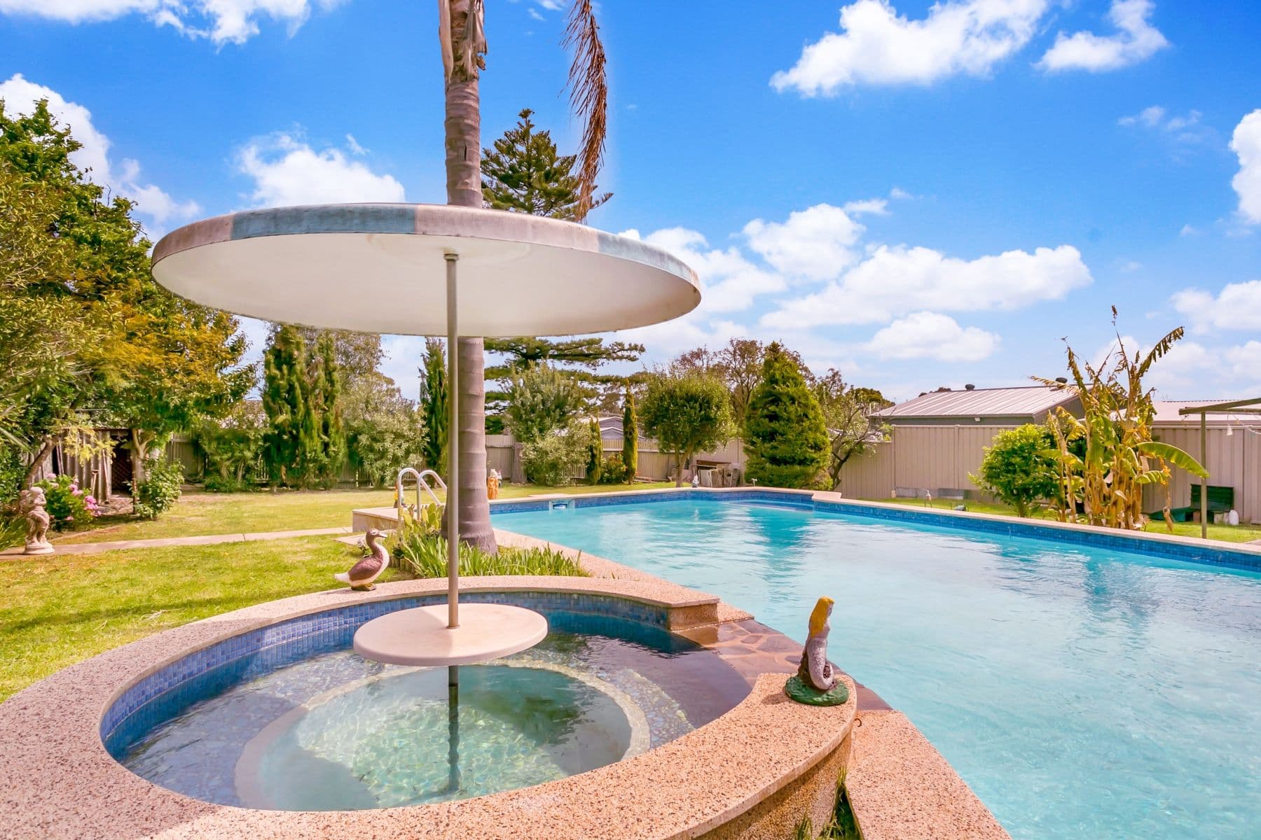 44 Eyre Street, Seaview Downs SA 5049, Seaview Downs - Thumbnail 4