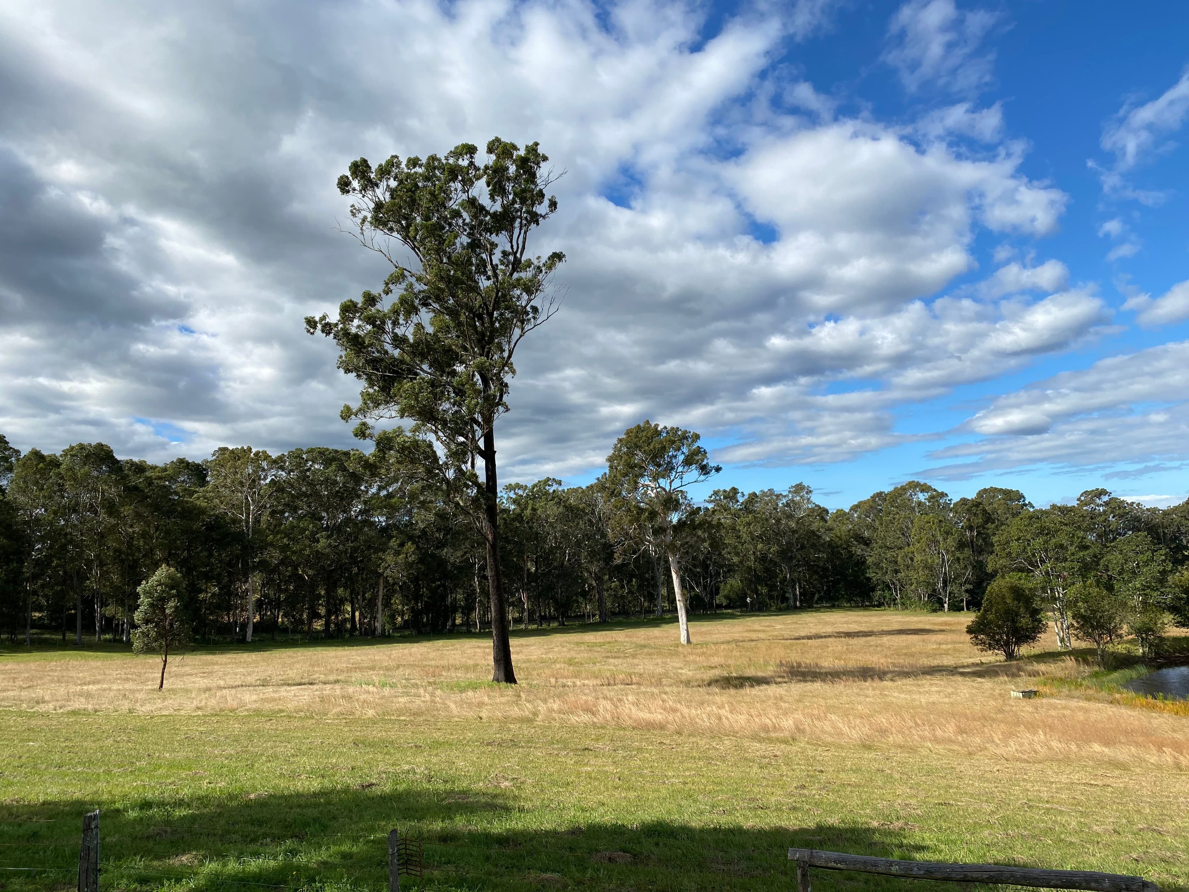 588 Tinonee Road, Mondrook NSW 2430, Mondrook - Thumbnail 4