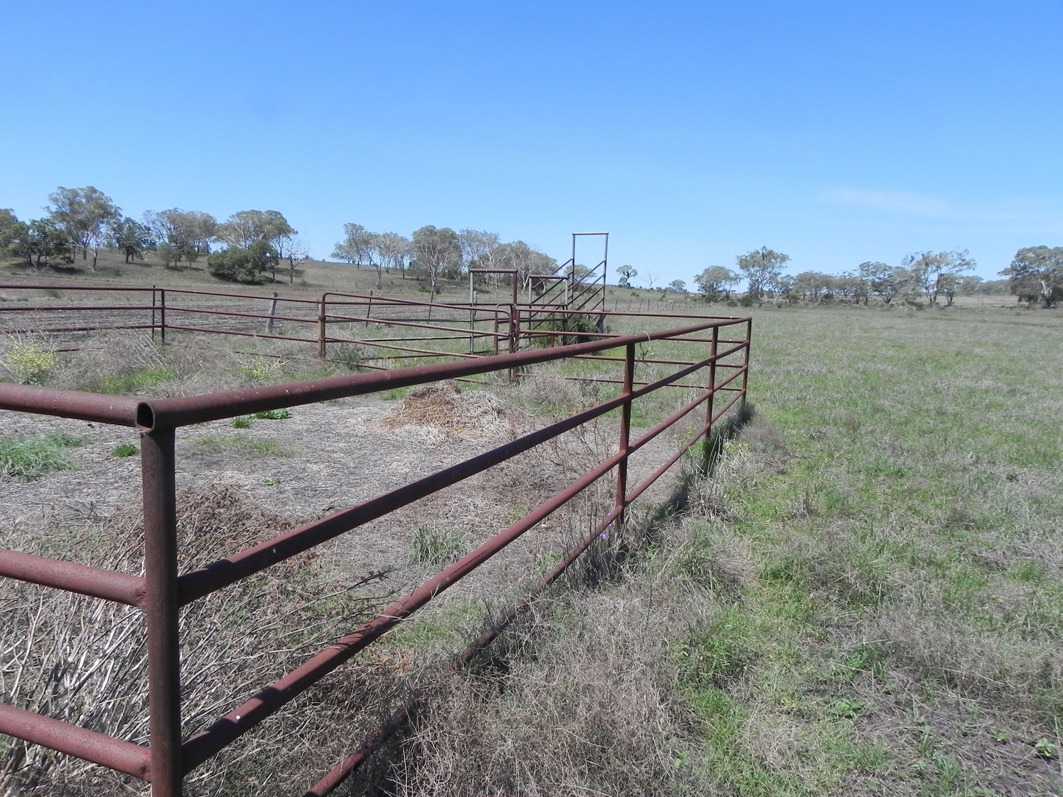 0 F Drews Road, Biddeston QLD 4401, Biddeston - Thumbnail 5