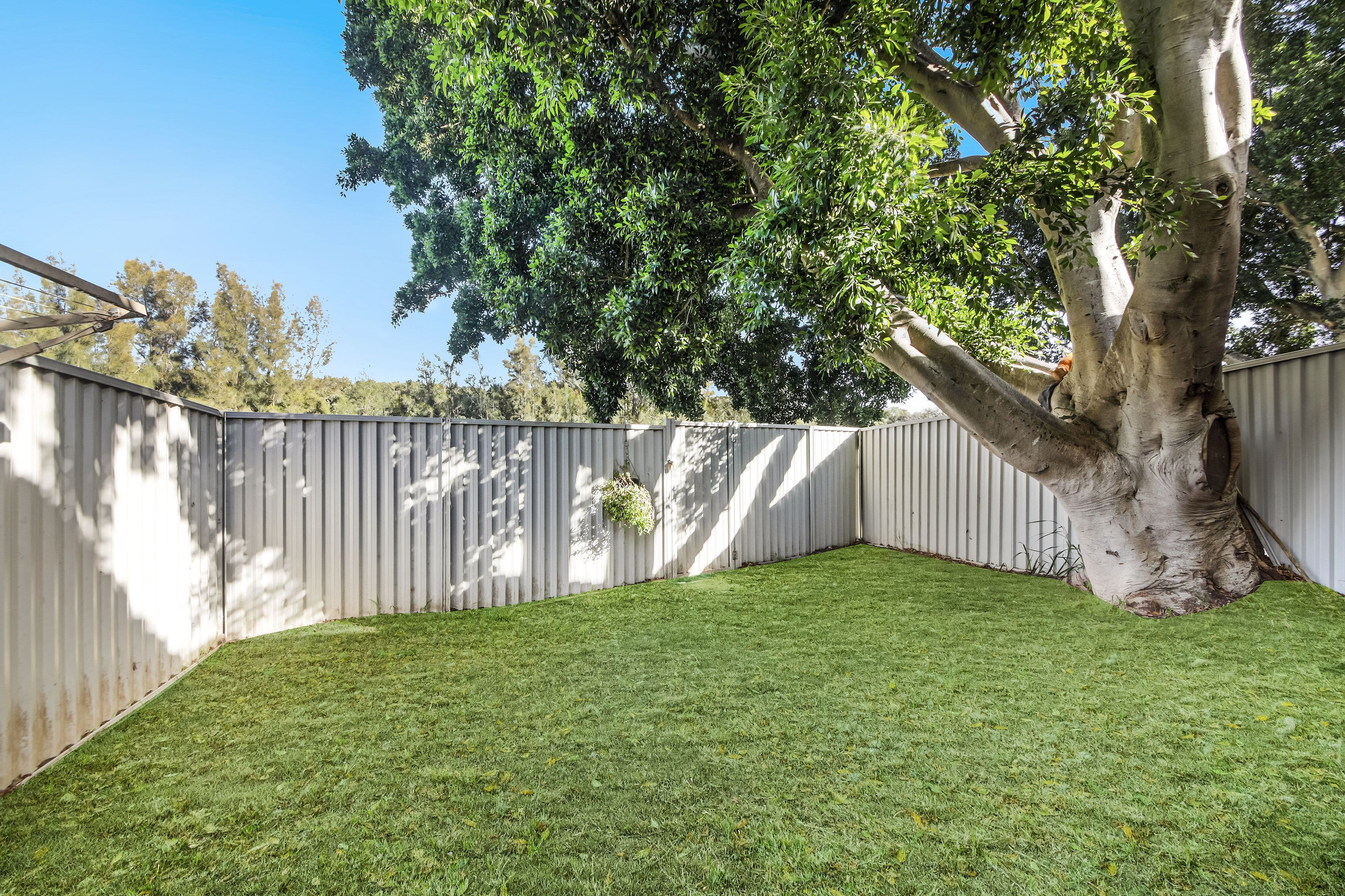 16 Basil Street, Riverwood NSW 2210, Riverwood - Thumbnail 7