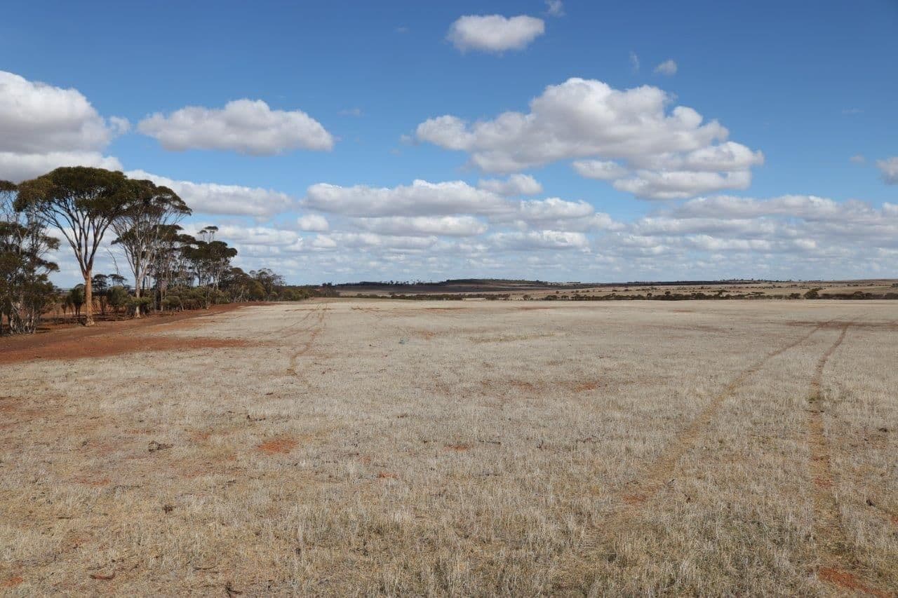 L265 Calzoni Road, Woolocutty WA 6369, Woolocutty - Thumbnail 8