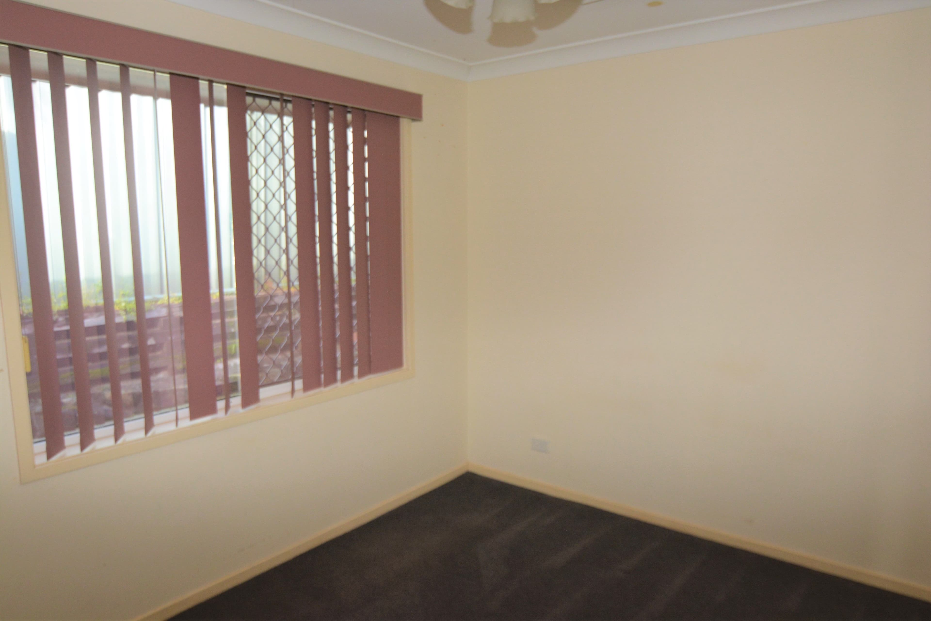 56B Casey Crescent, Kariong NSW 2250, Kariong - Thumbnail 6