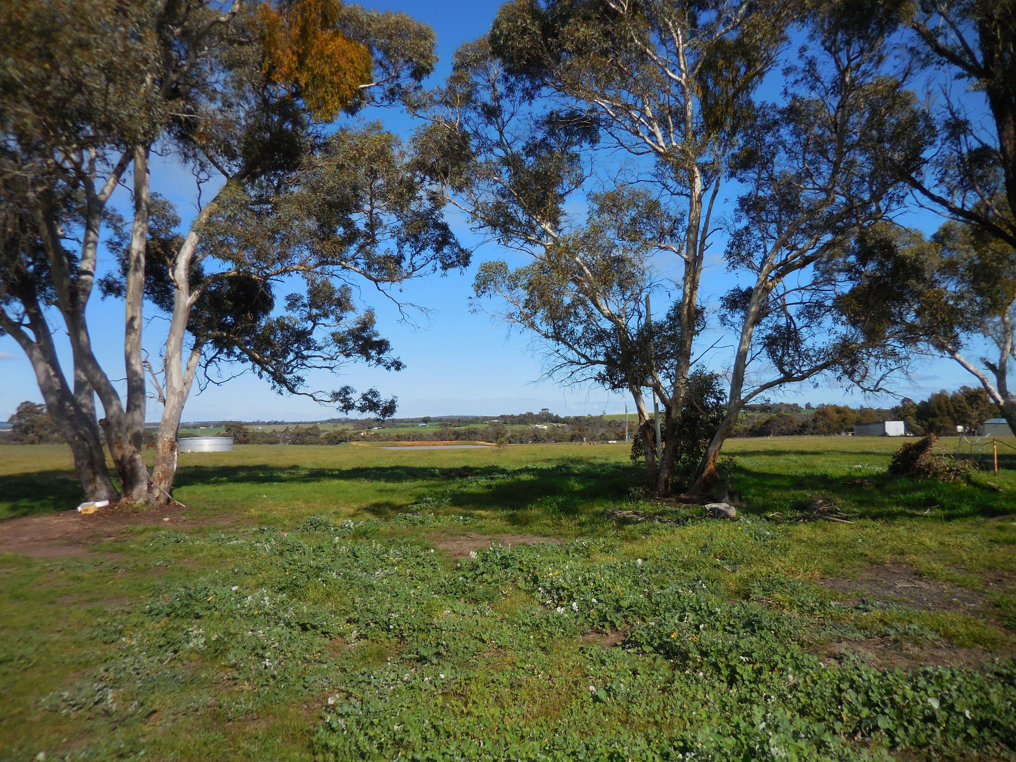 883 Collins Road, Kendenup WA 6323, Kendenup - Thumbnail 4