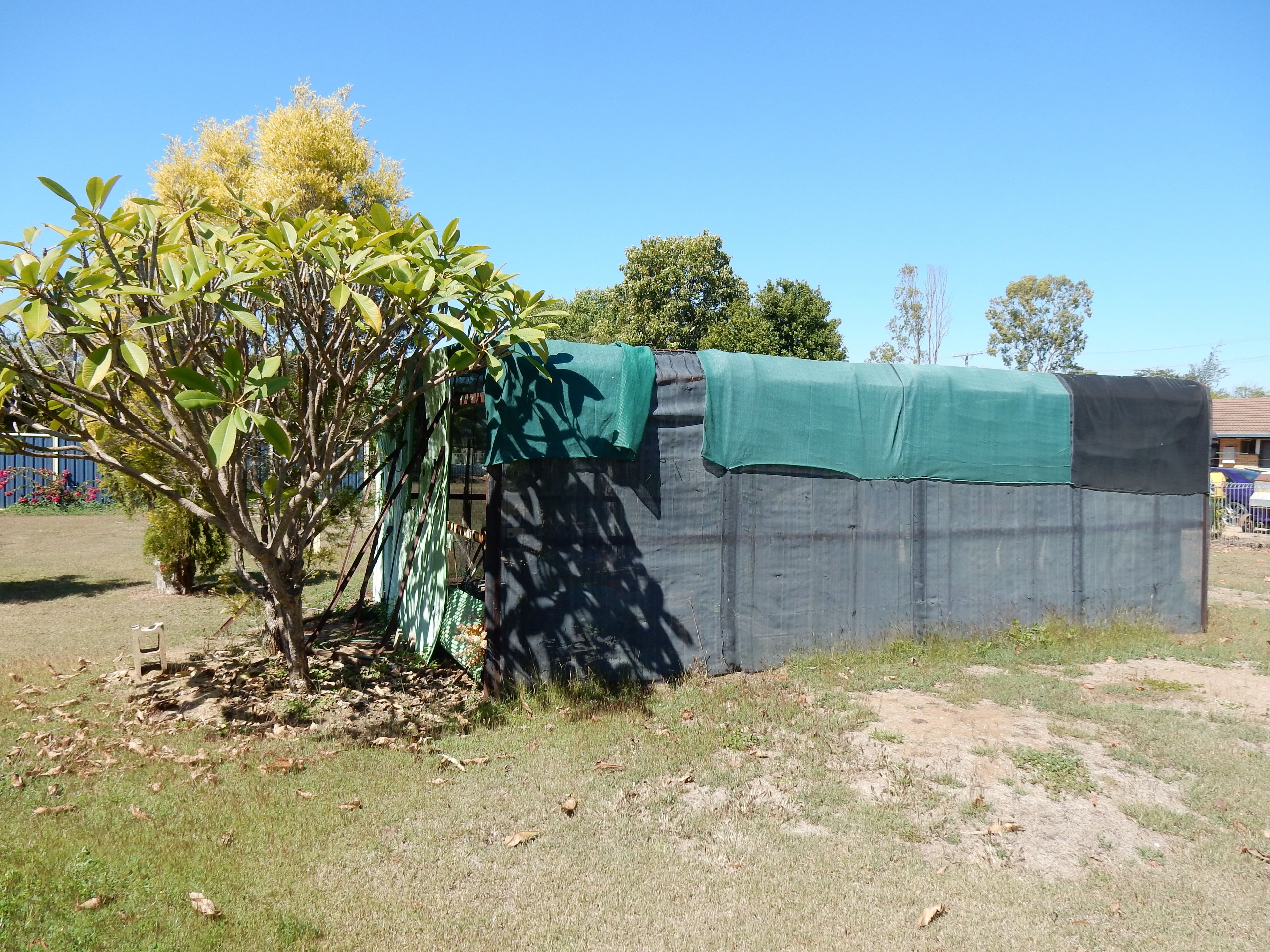 16 Warren Street, Goovigen QLD 4702, Goovigen - Thumbnail 5