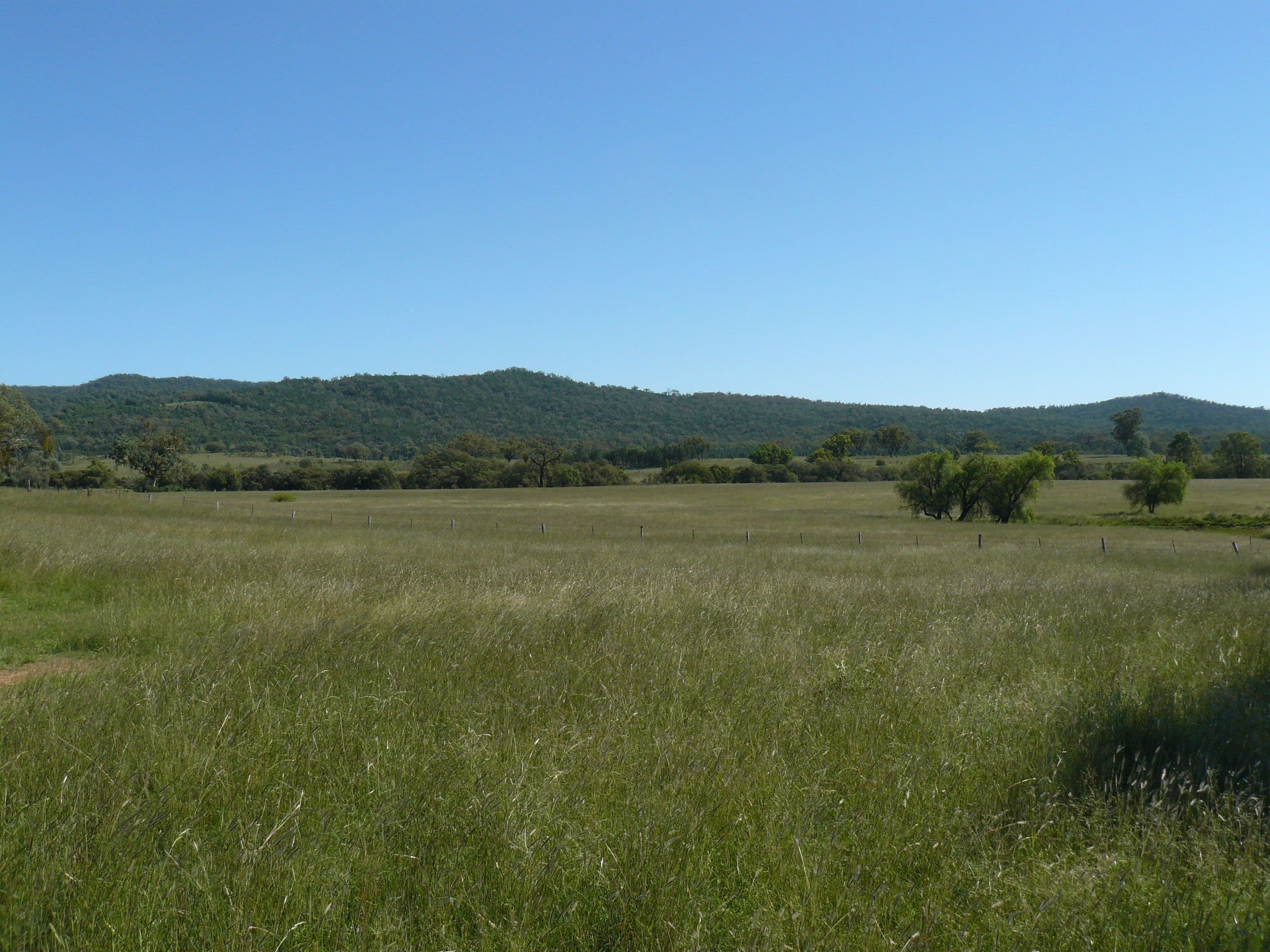 " Box Hill", BINGARA NSW 2404, Bingara - Thumbnail 5