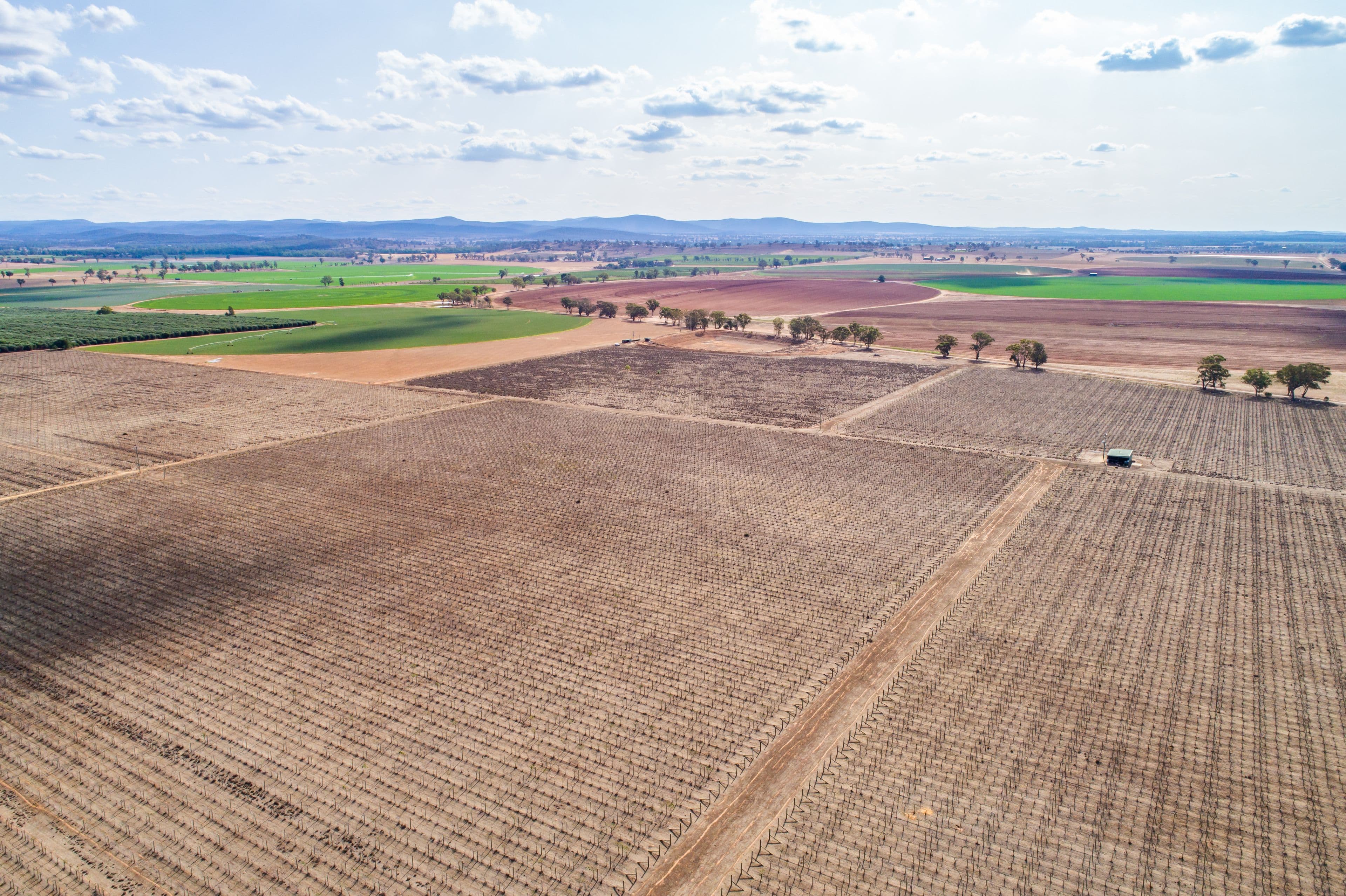 287 Mount Lewis Road, Canowindra NSW 2804, Canowindra - Image 1
